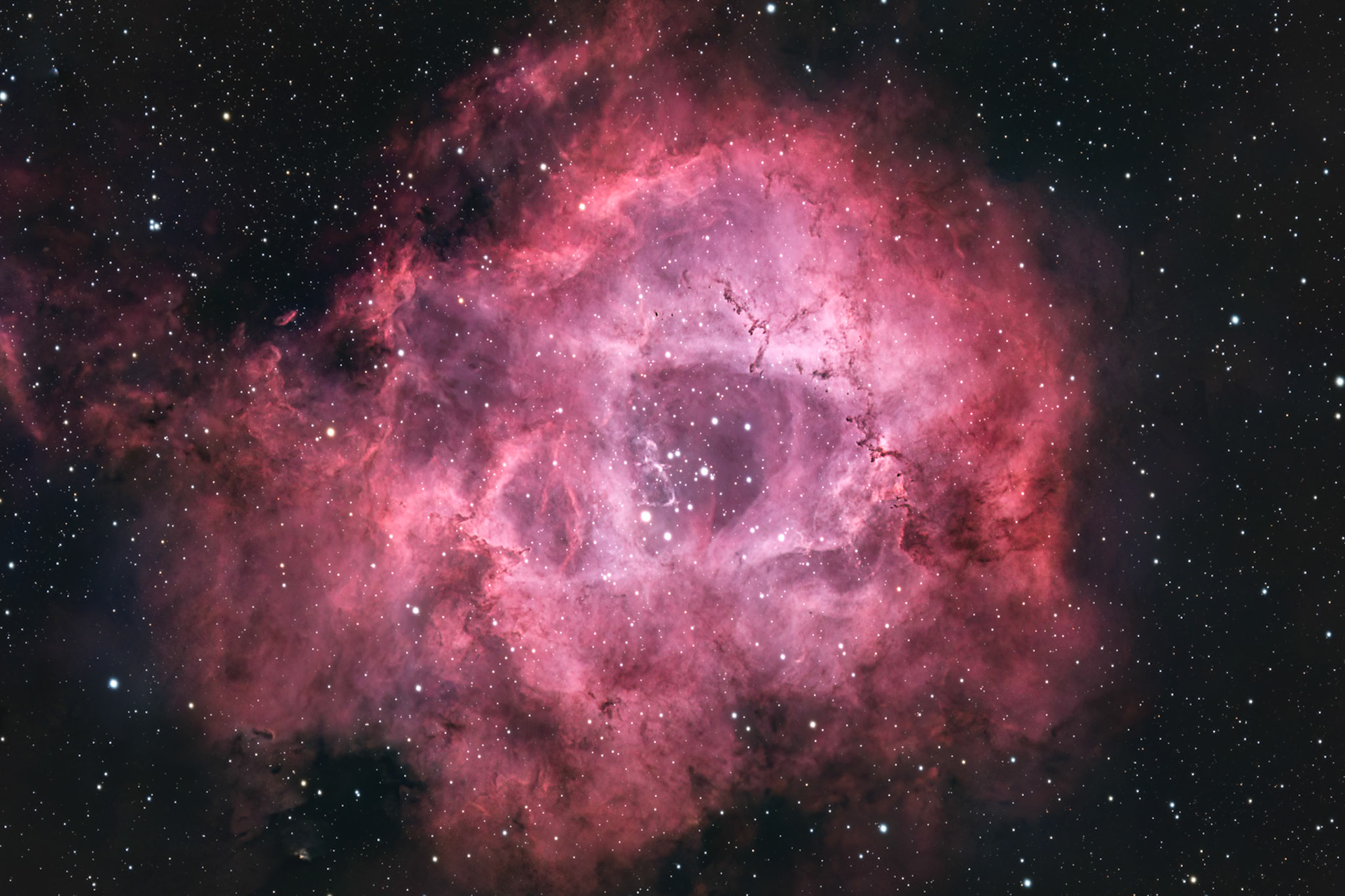 NGC 2244 / Rosette Nebula
