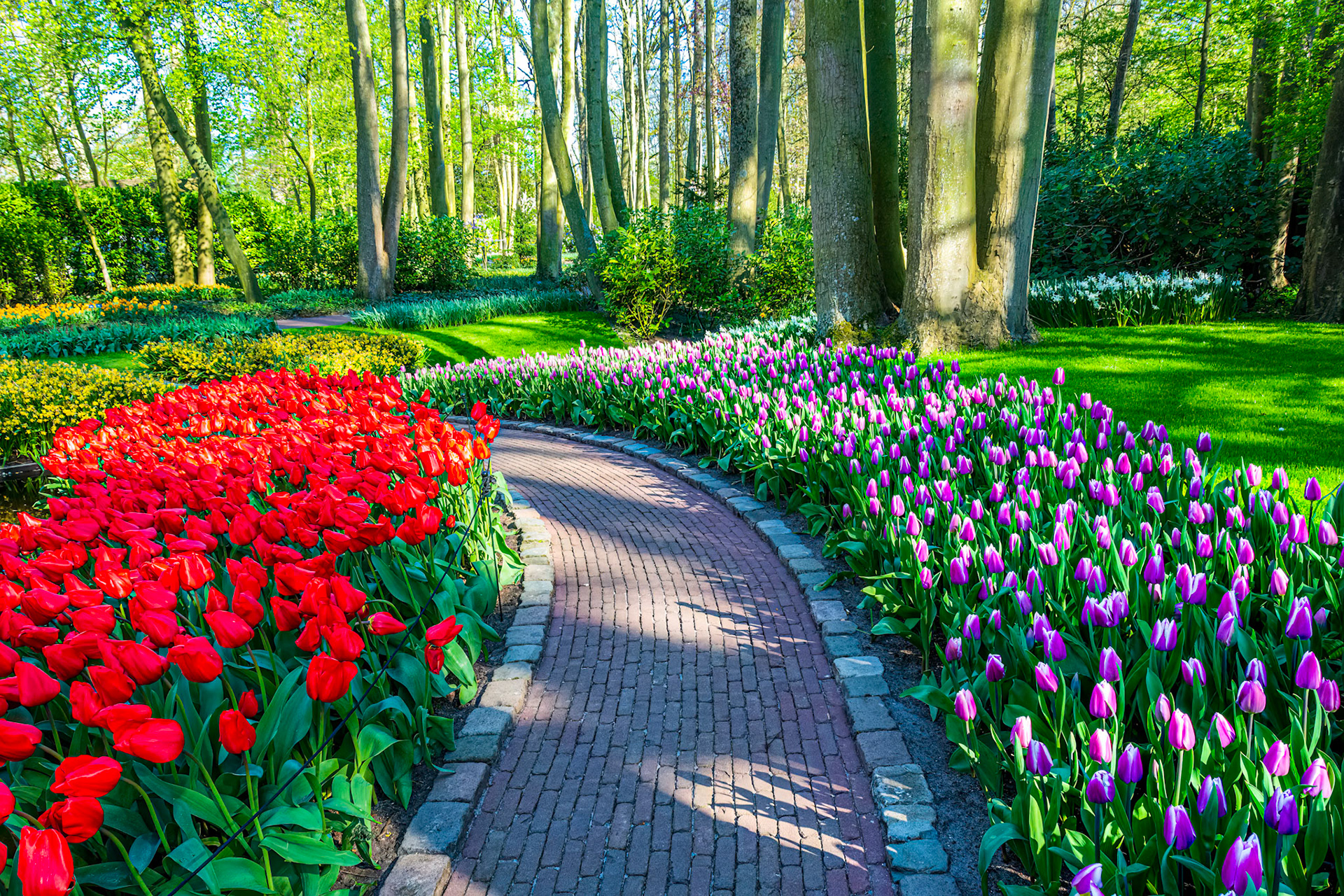 Keukenhof Garden