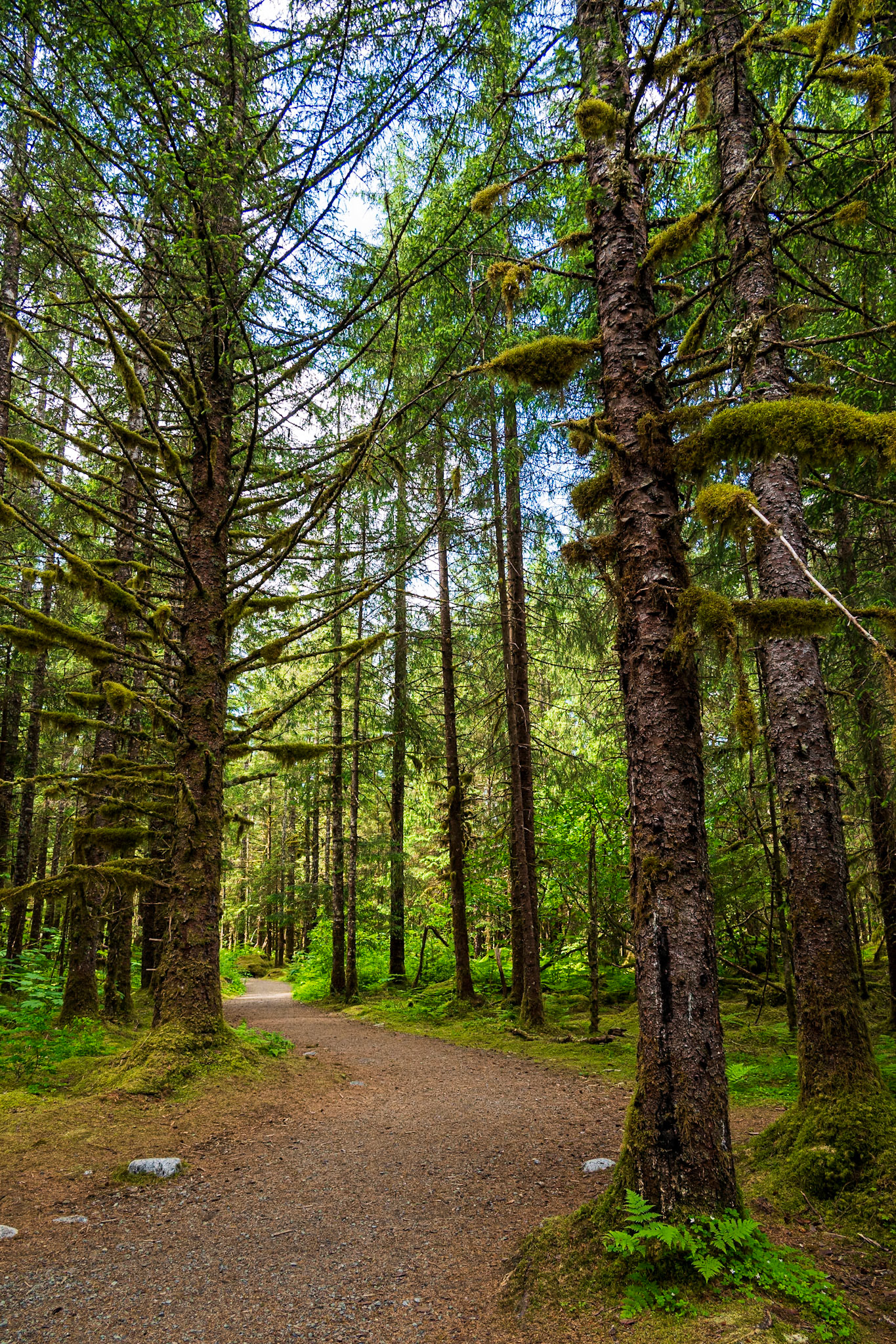 Tongass National Forest