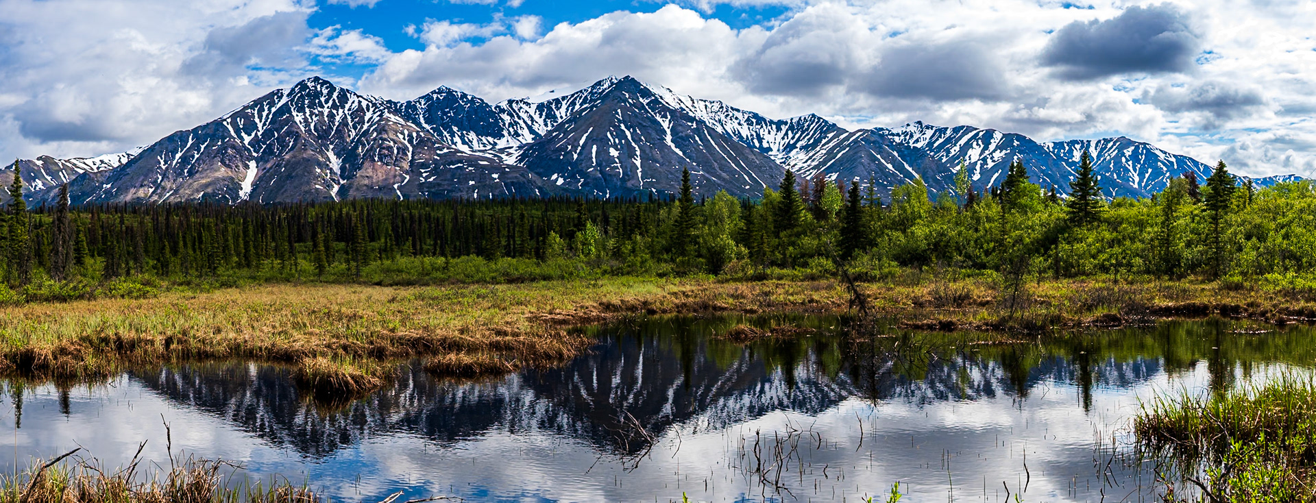 Denali National Park and Preserve