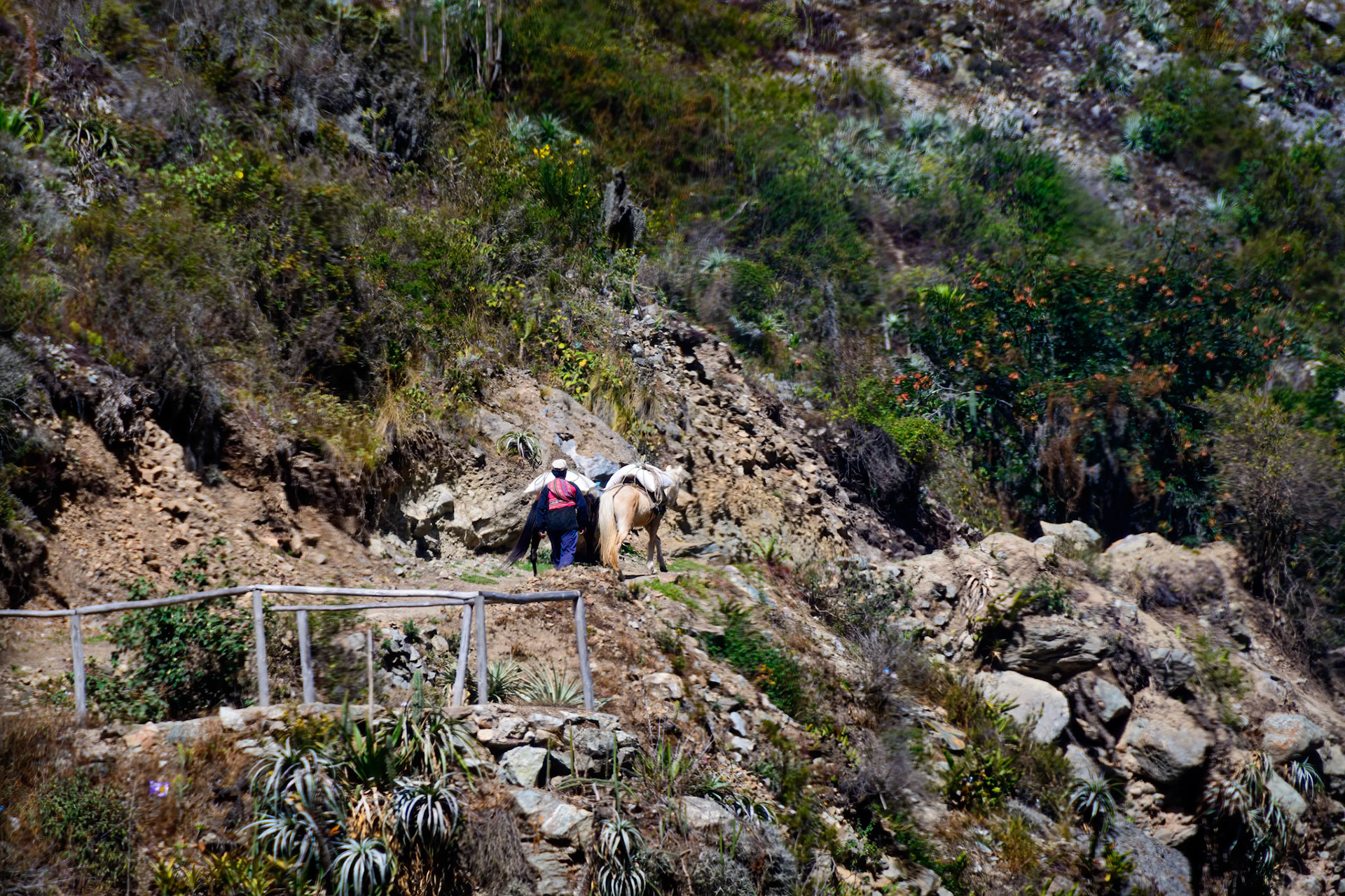 Start of Inca Trail to Machu Picchu