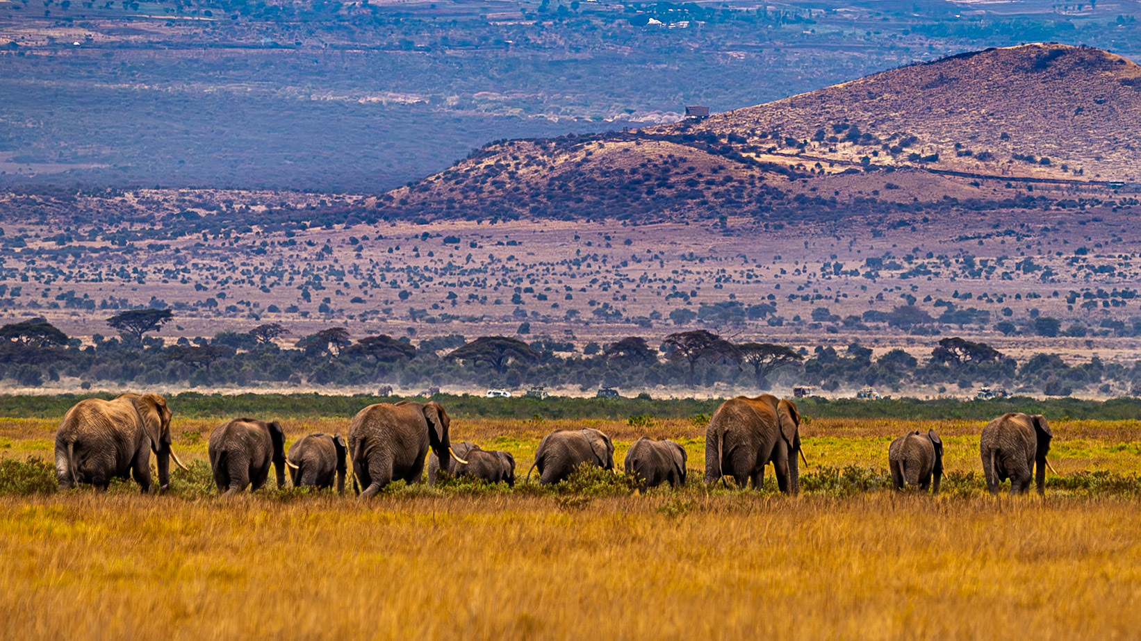 Amboseli National Park