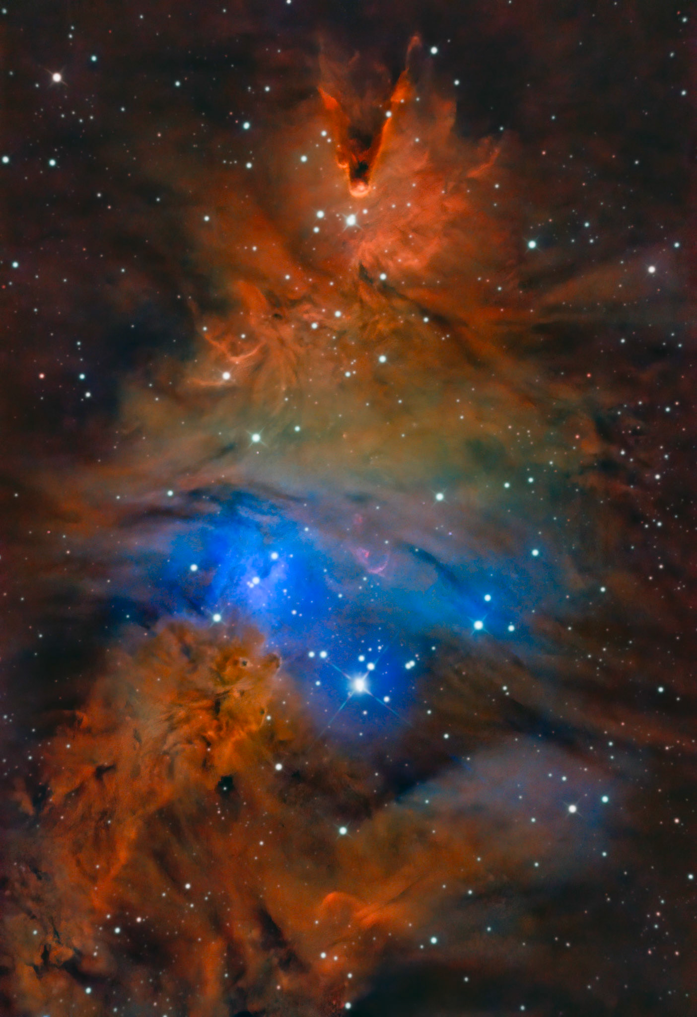 NGC 2264 / Christmas Tree Cluster