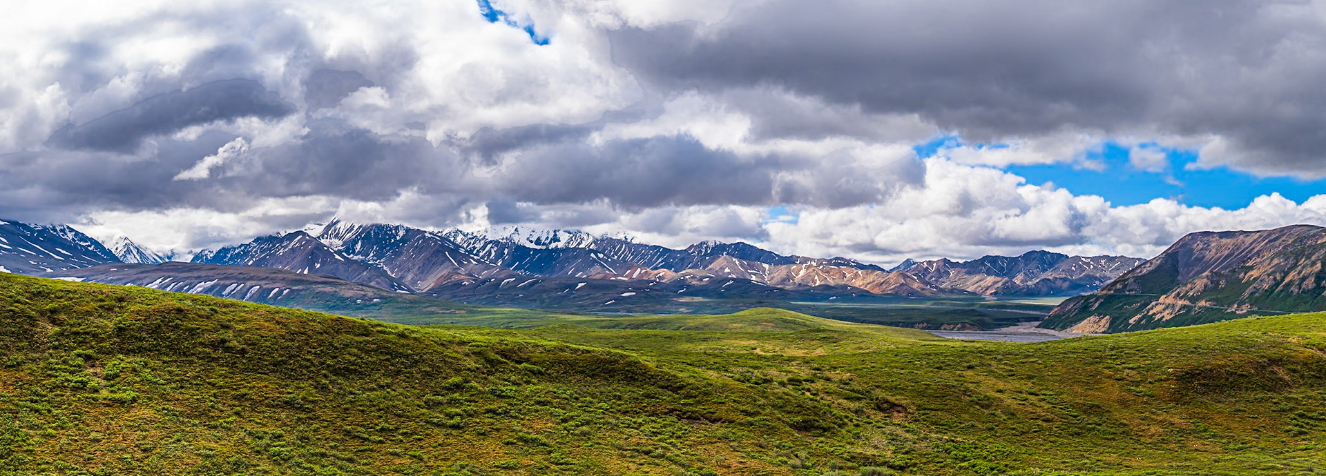 Denali National Park