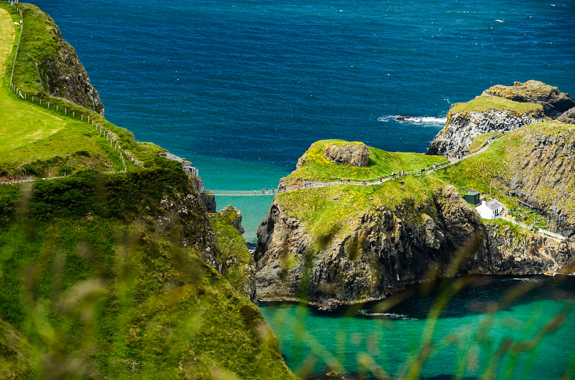 Carrick-a-Rede Rope Bridge