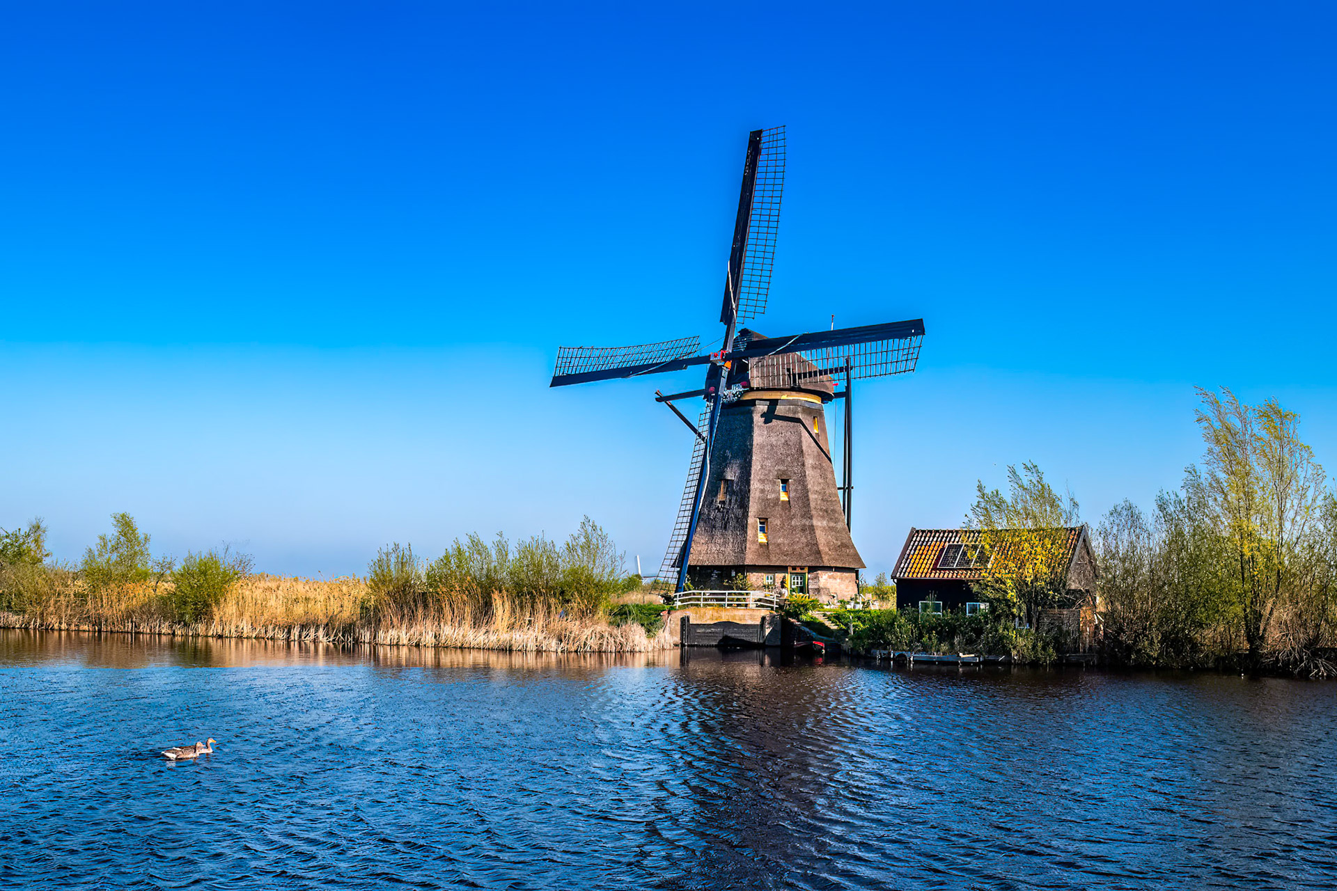 Kinderdijk Windmill in ready position