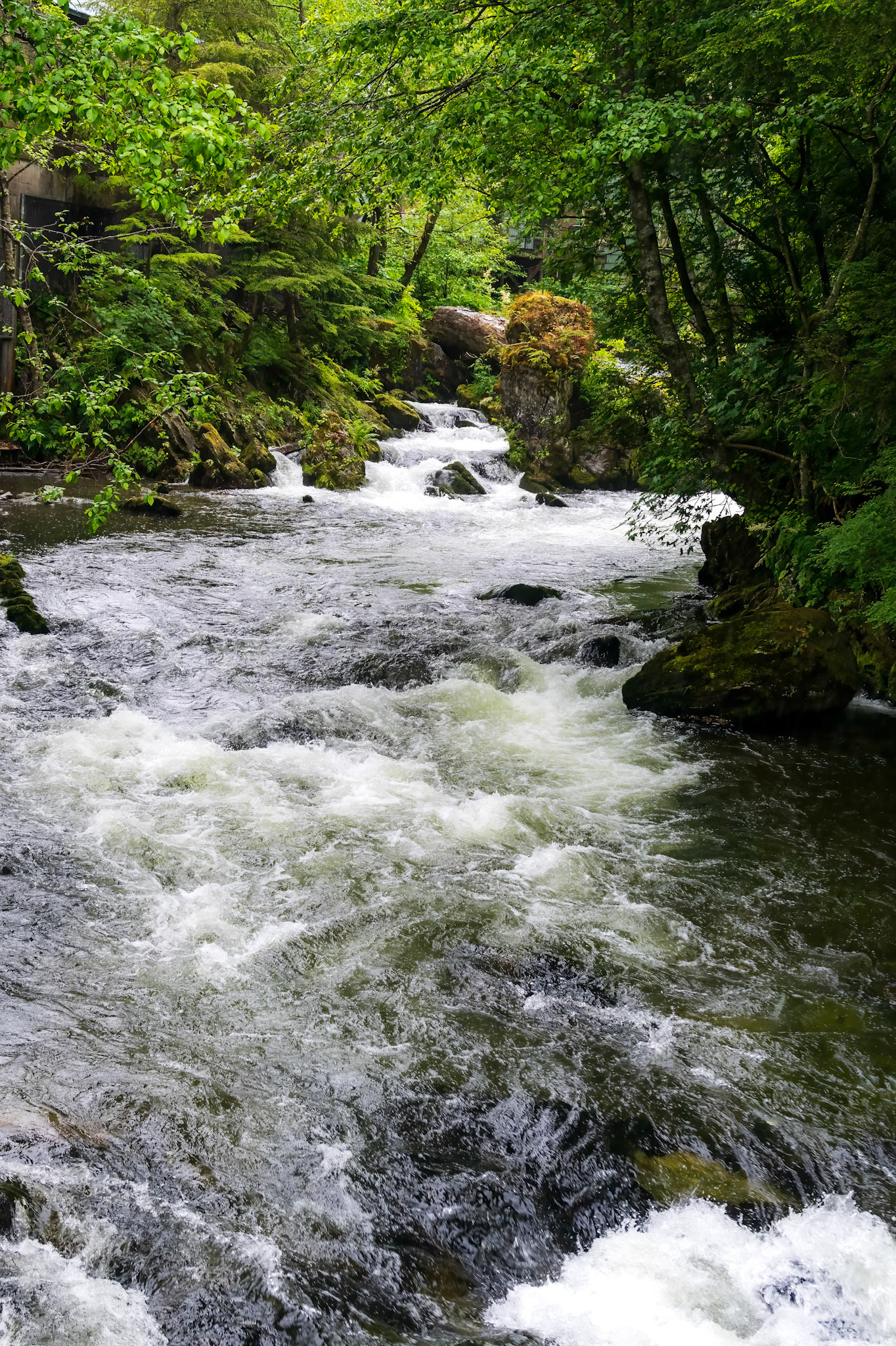 Ketchikan Creek Salmon Ladder