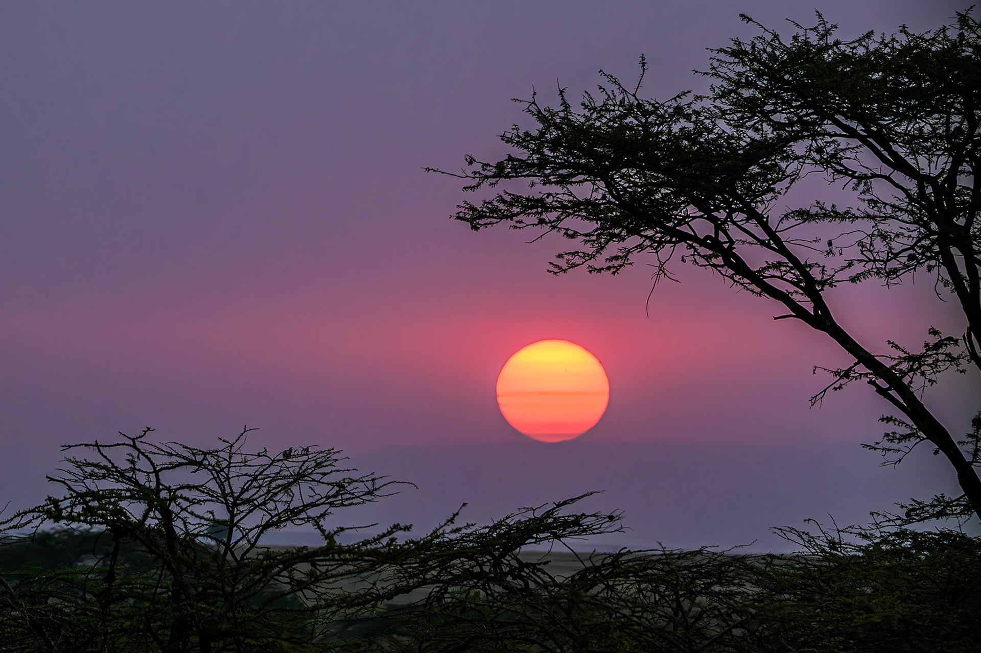 Massai Mara Sunset