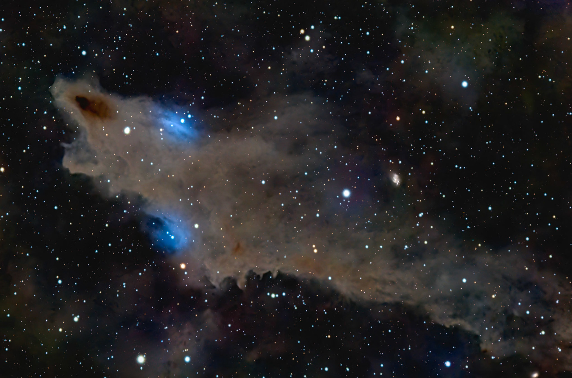 LDN 1235 / Dark Shark Nebula