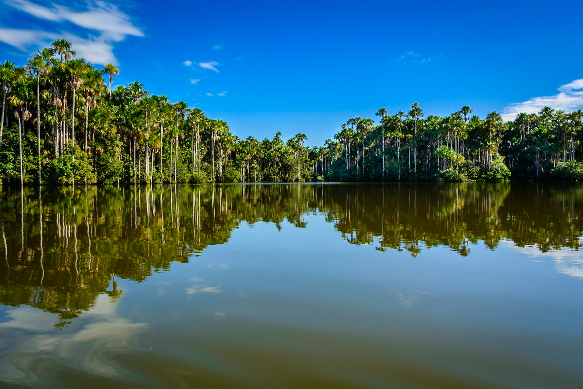 Lake Sandoval, Peru