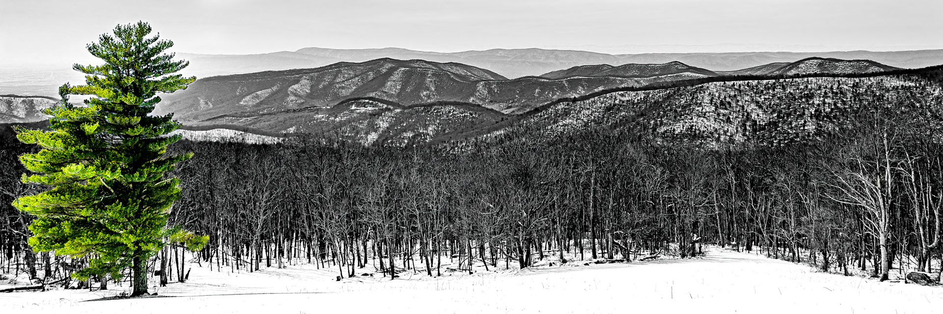 Shenandoah National Park