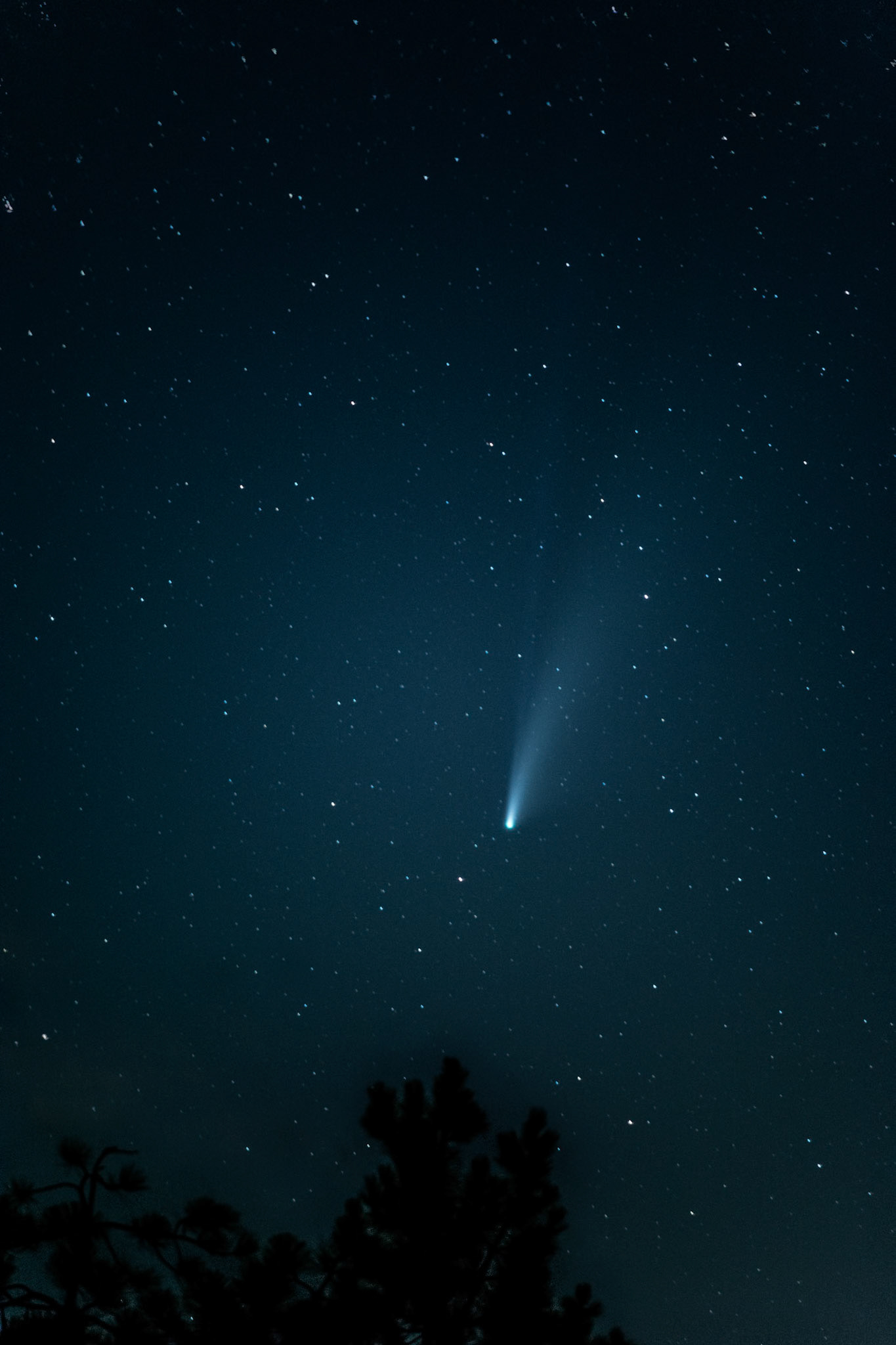 Comet Neowise