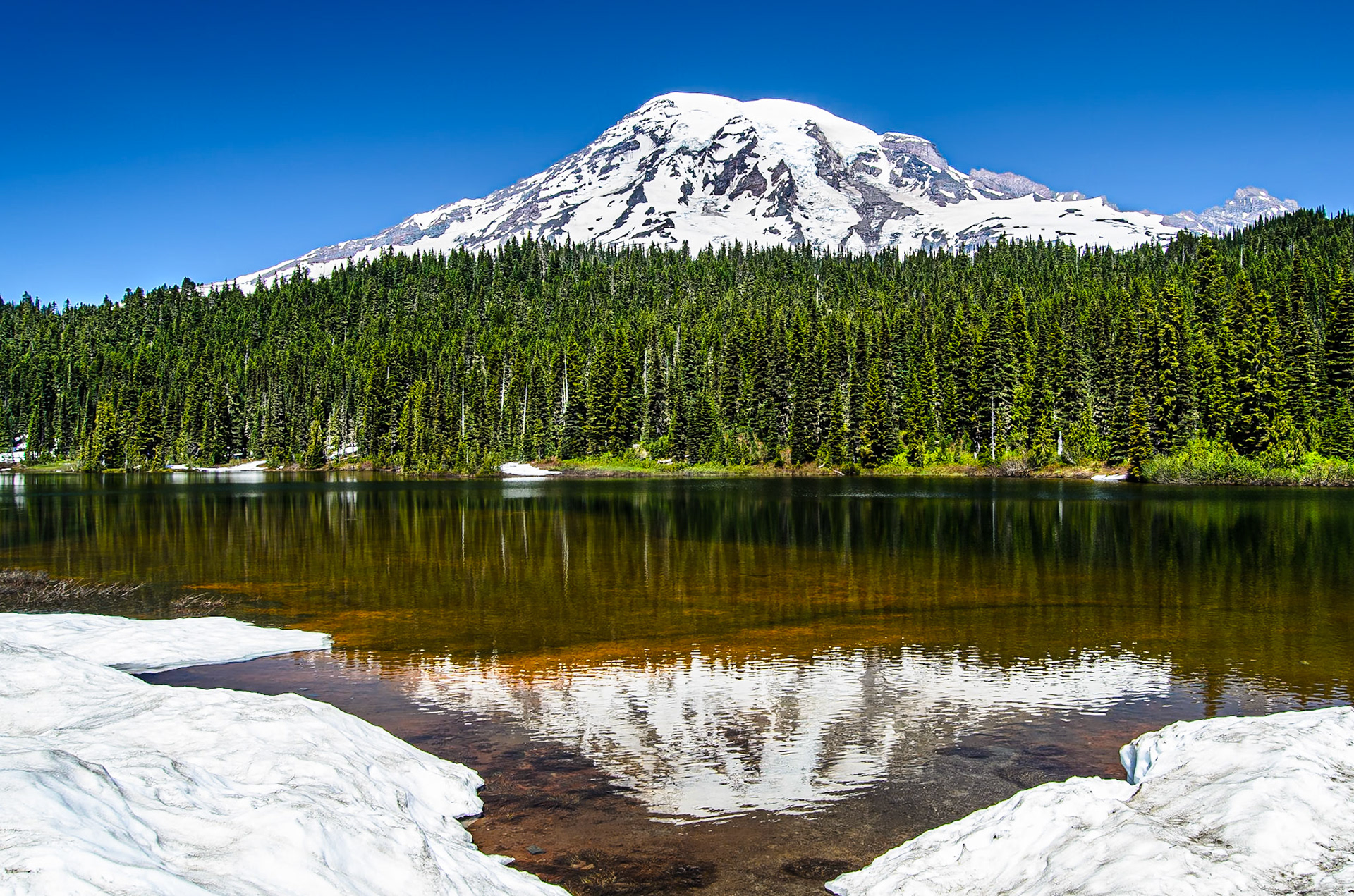 Mt Rainier