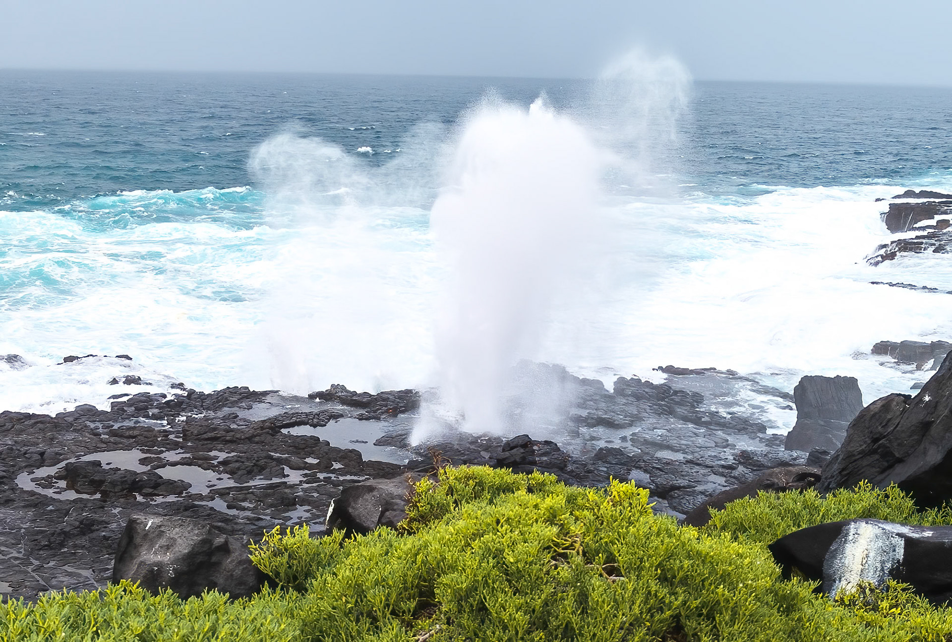 Blow hole on Espanola Island