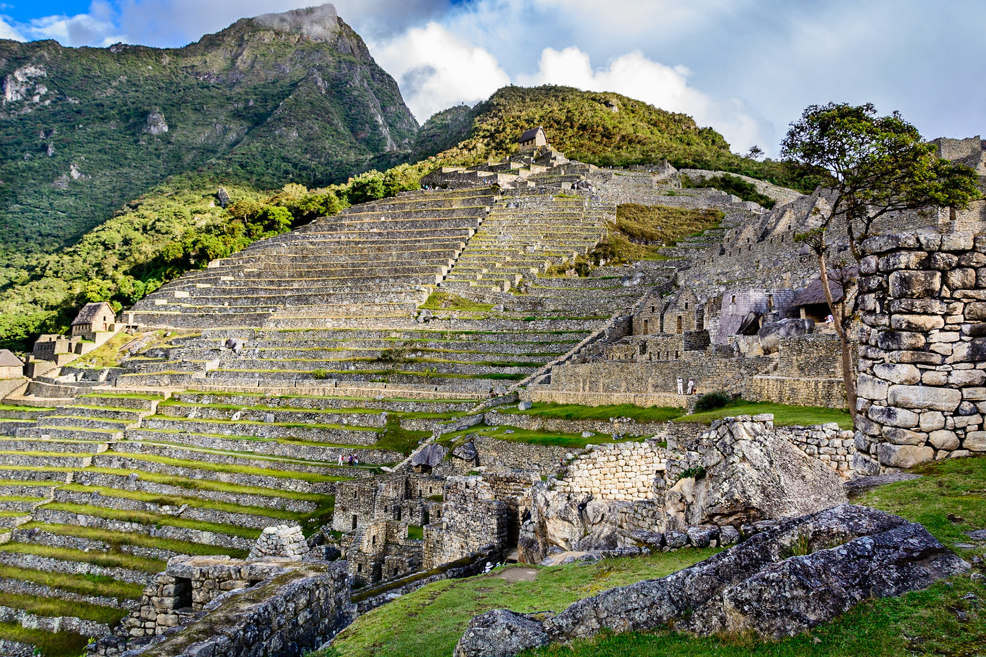 Machu Picchu terraces and guard house