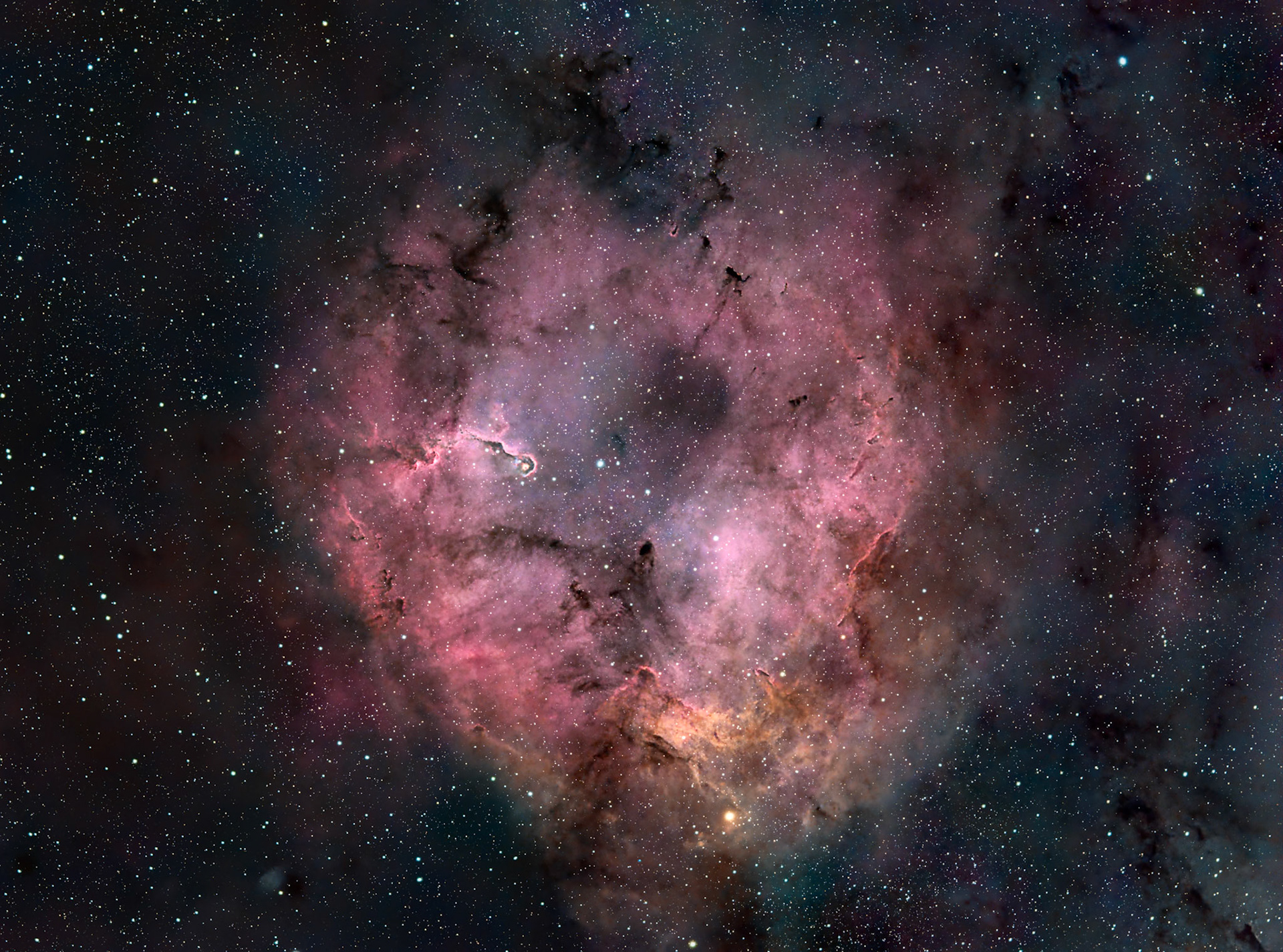 IC 1396 / Elephant Trunk Nebula