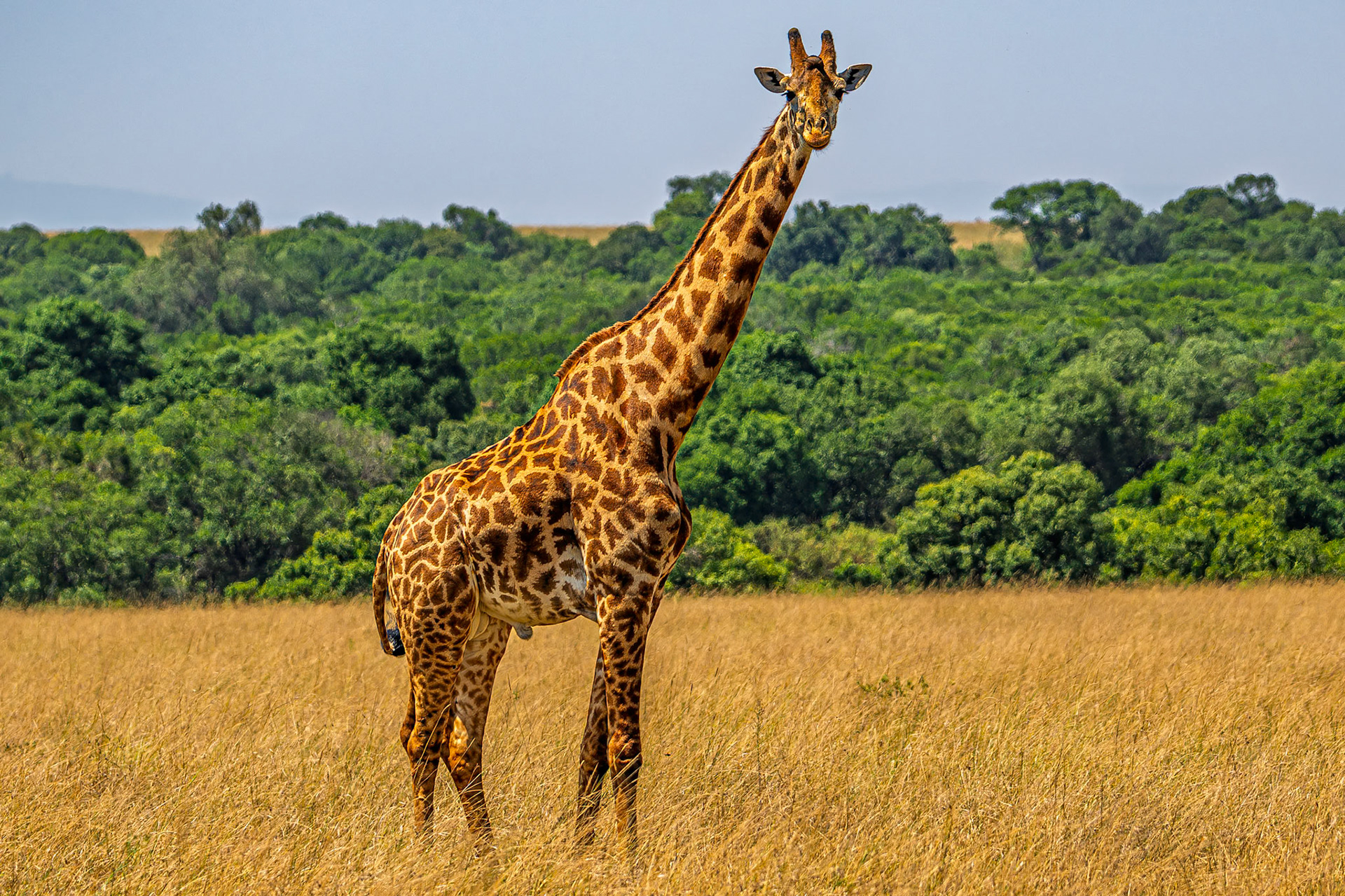 Saying goodbye to Africa