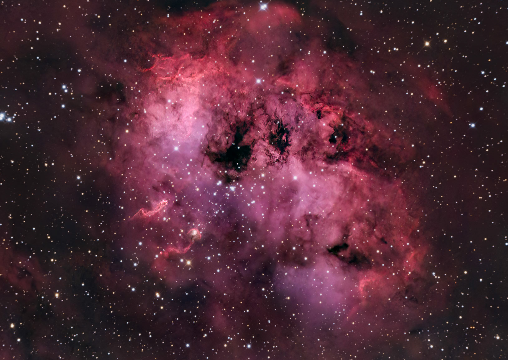 IC 410 / Tadpole Nebula (Williamina Flemming Deep Sky Winner 2023)