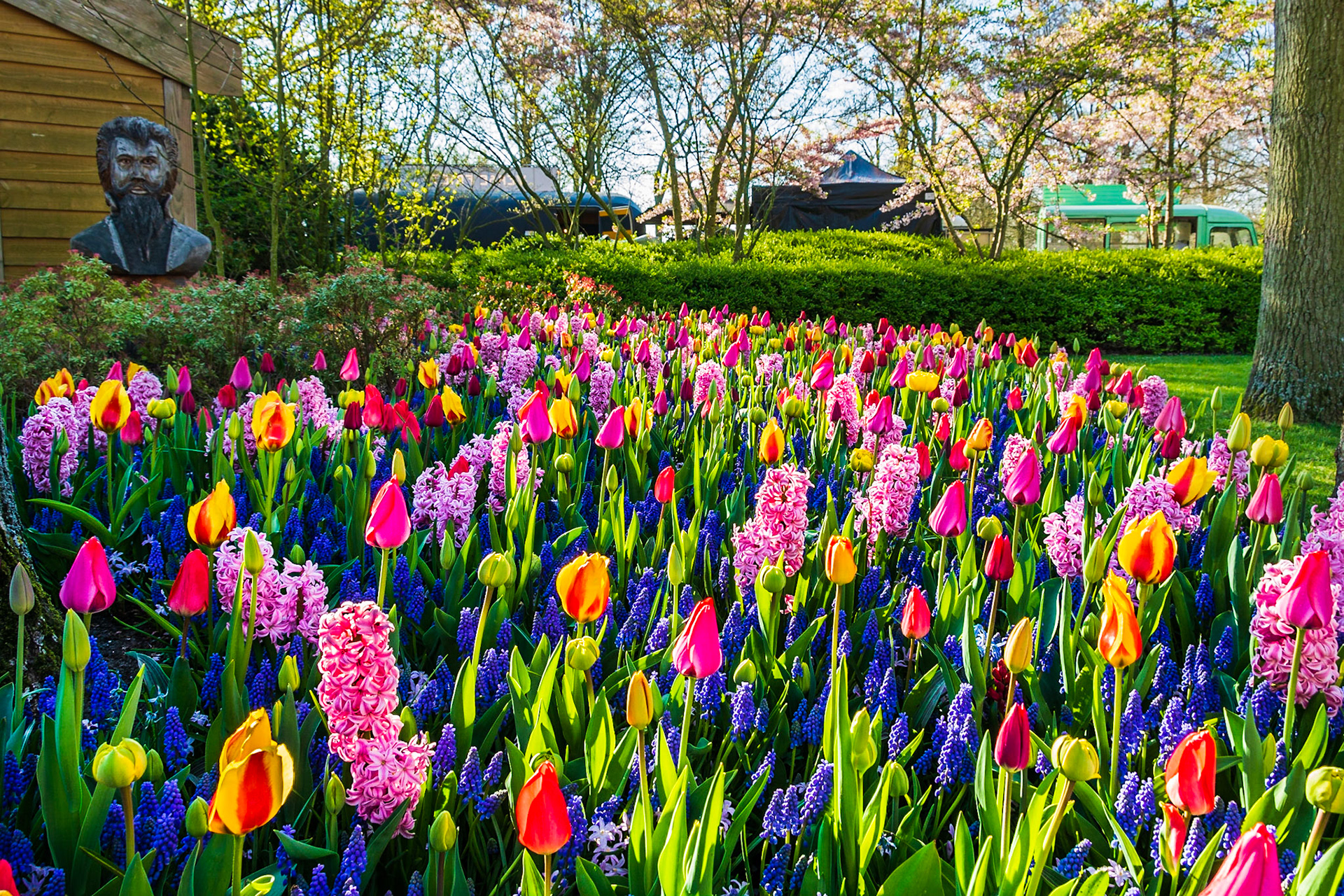 Keukenhof Garden in Holland