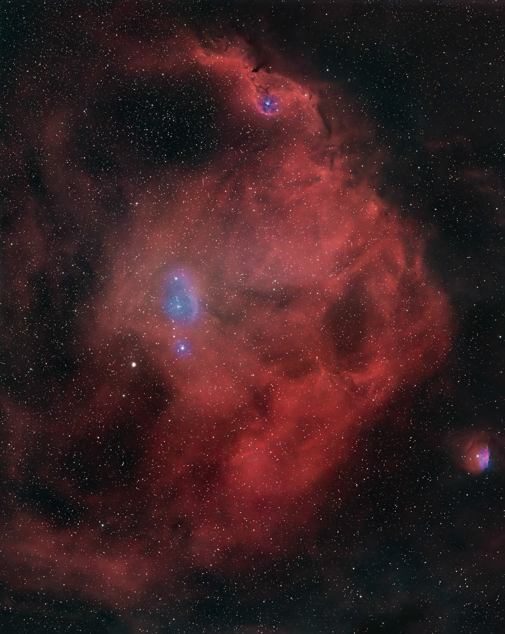 Sh2-264 / Angelfish Nebula