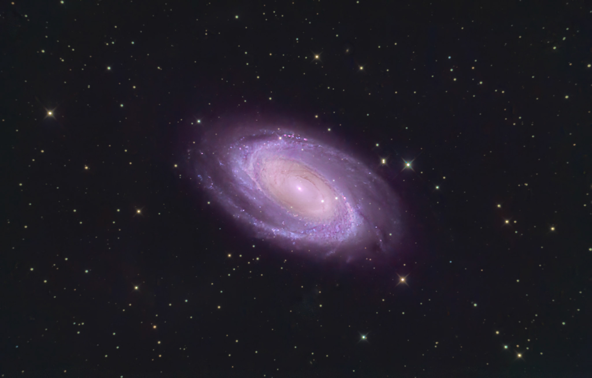 M81 / Bode's Galaxy