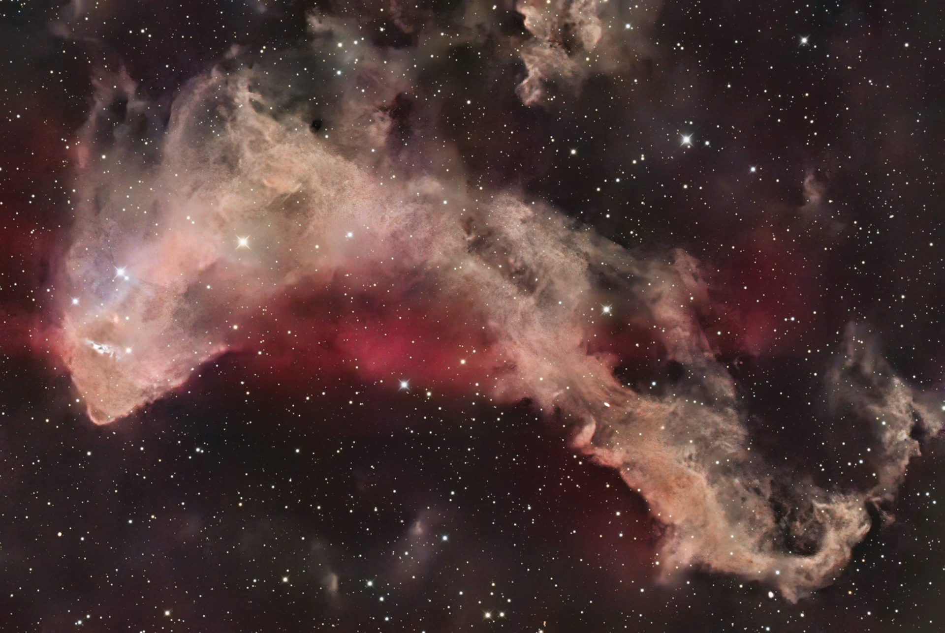 LBN 437 / Gecko Nebula