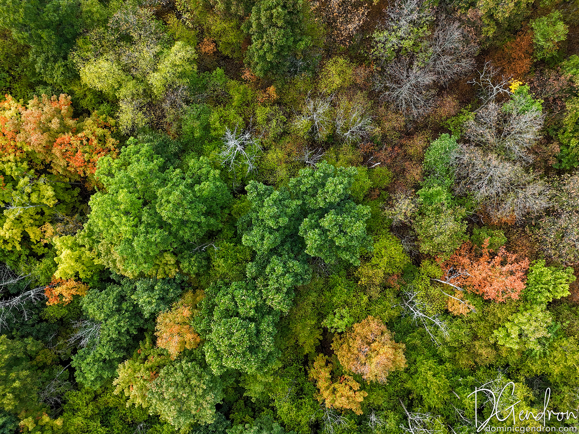Centre écologique Fernand-Seguin