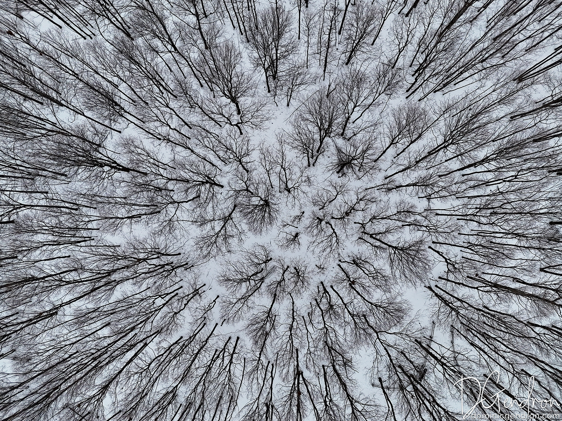 Centre écologique Fernand-Seguin