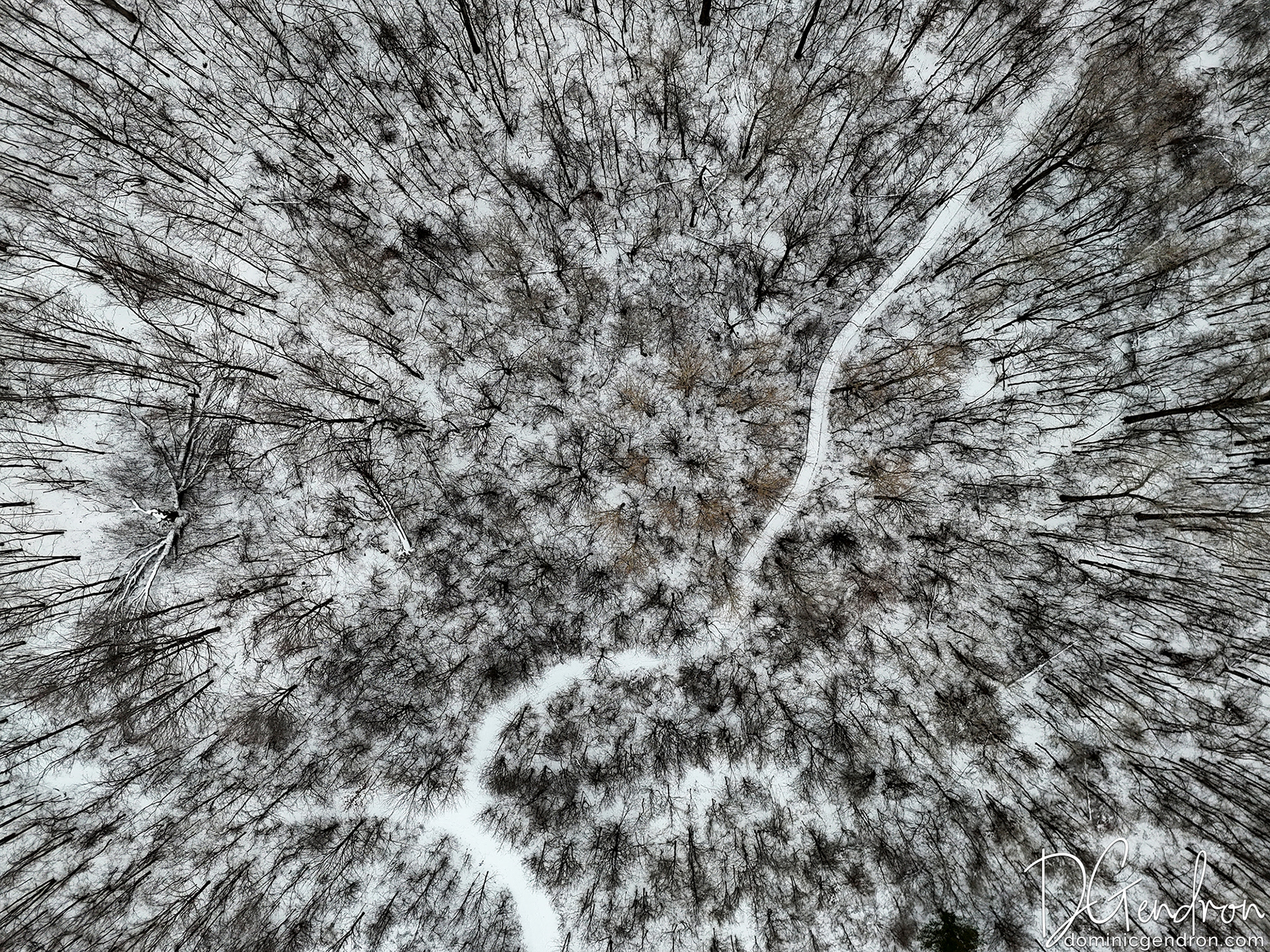 Centre écologique Fernand-Seguin