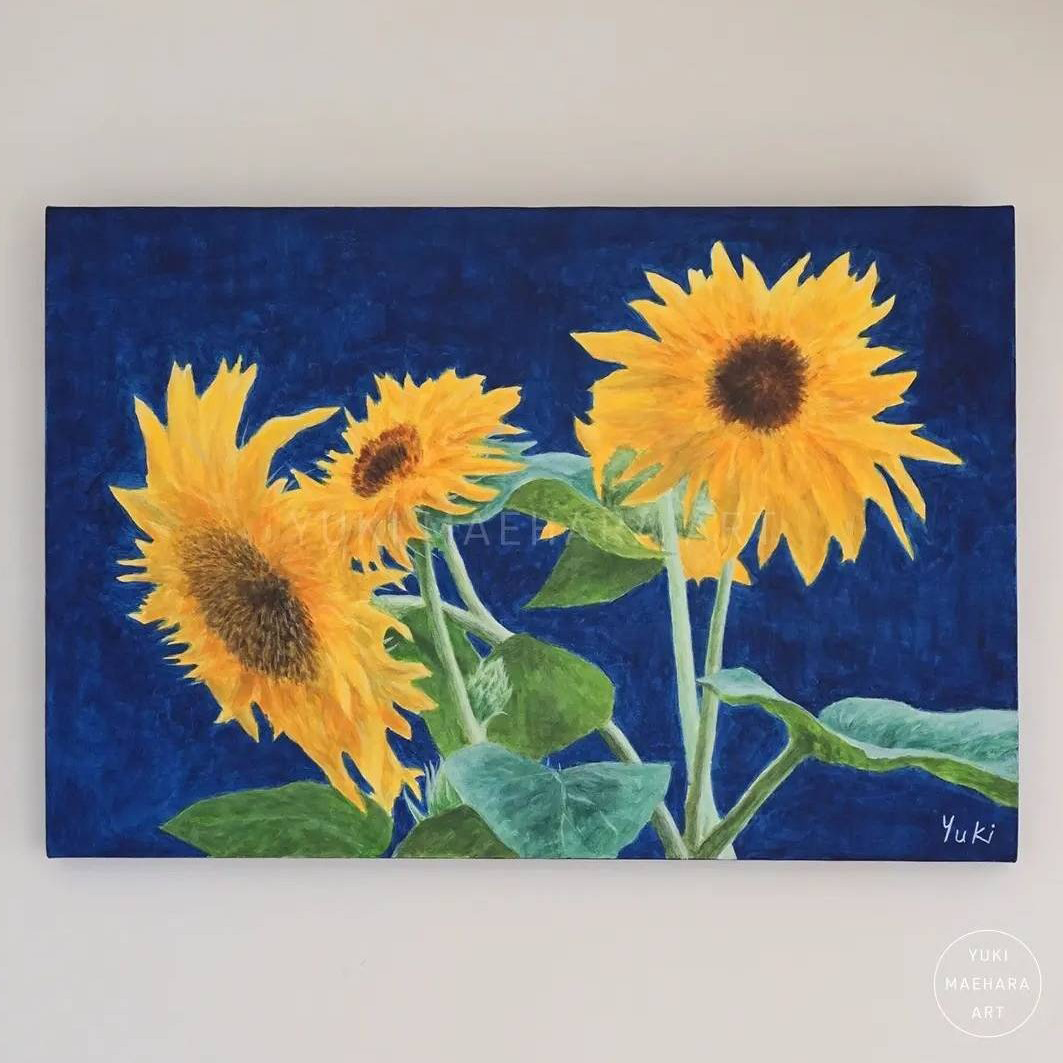 向日葵|Sunflower