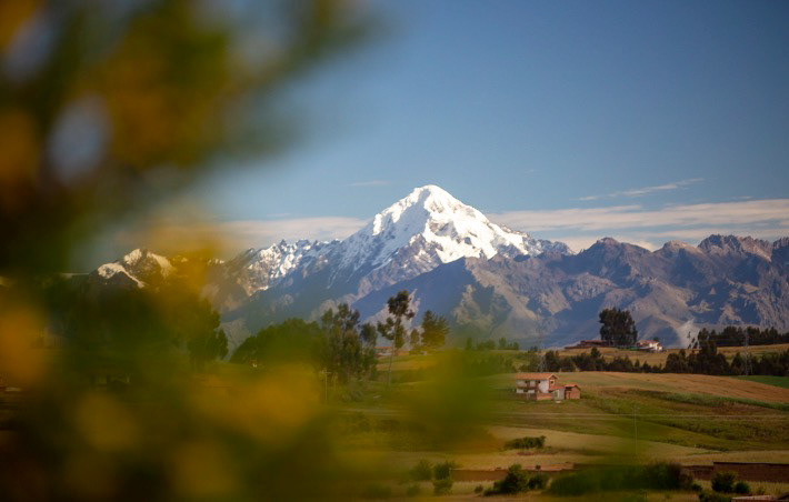 Veronica - also called Huacrahuilki in Urubamba, Peru