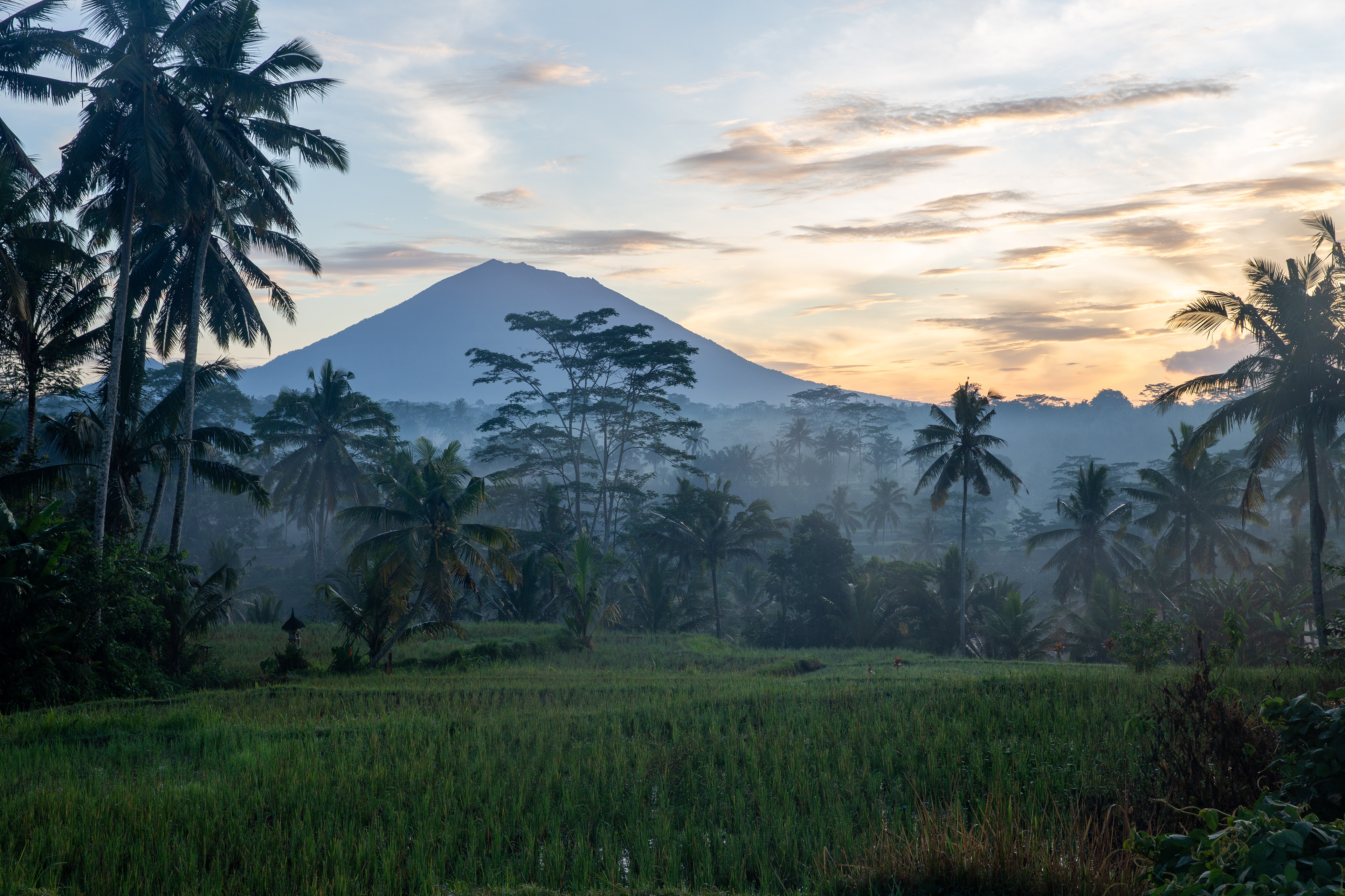 Mount Agung in the background of a rice field in Bali, Indonesia