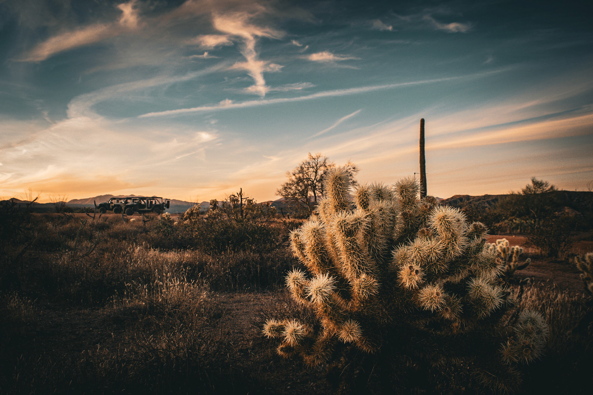 Desert Foothills, Scottsdale Arizona