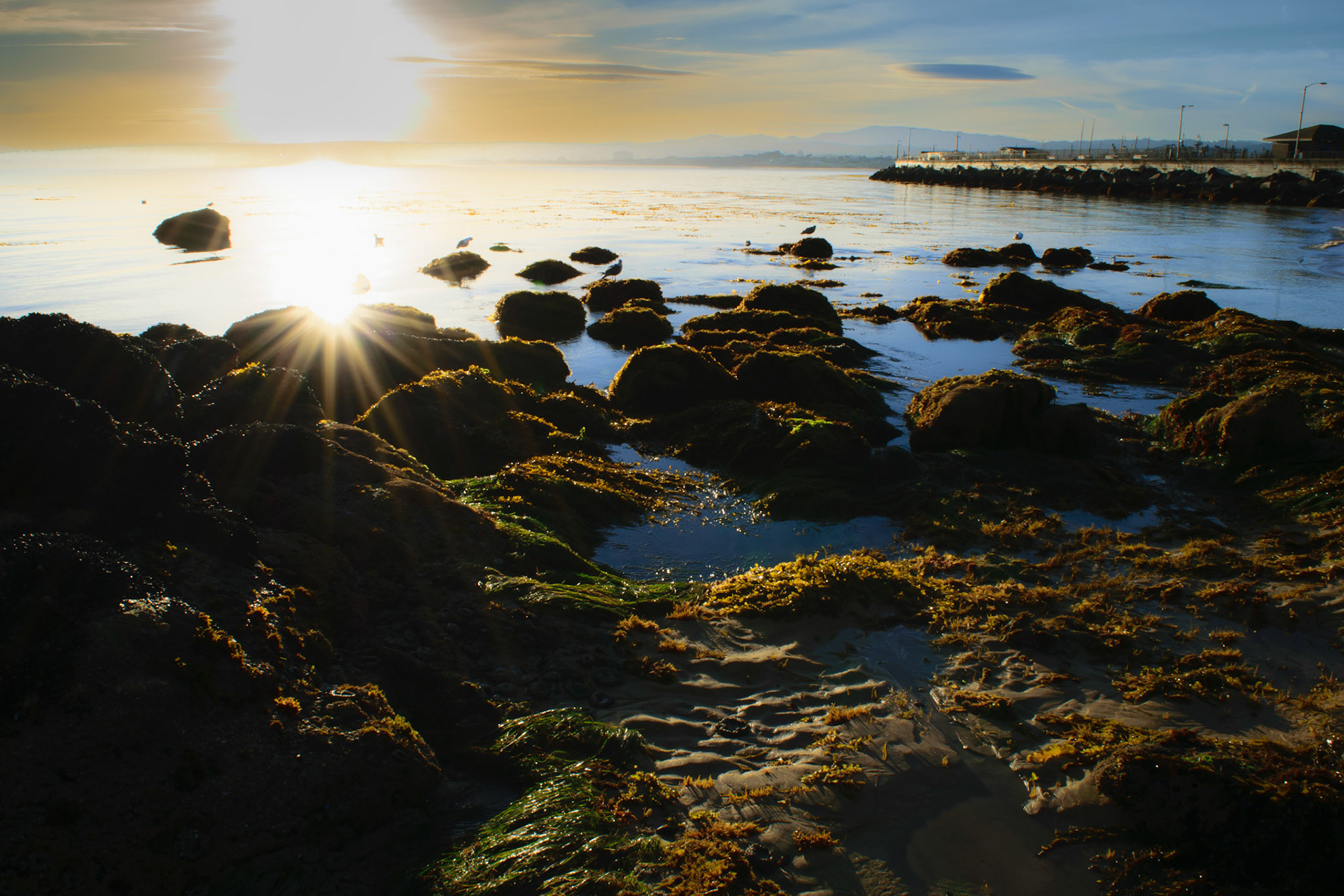 San Carlos beach, Monterey California 