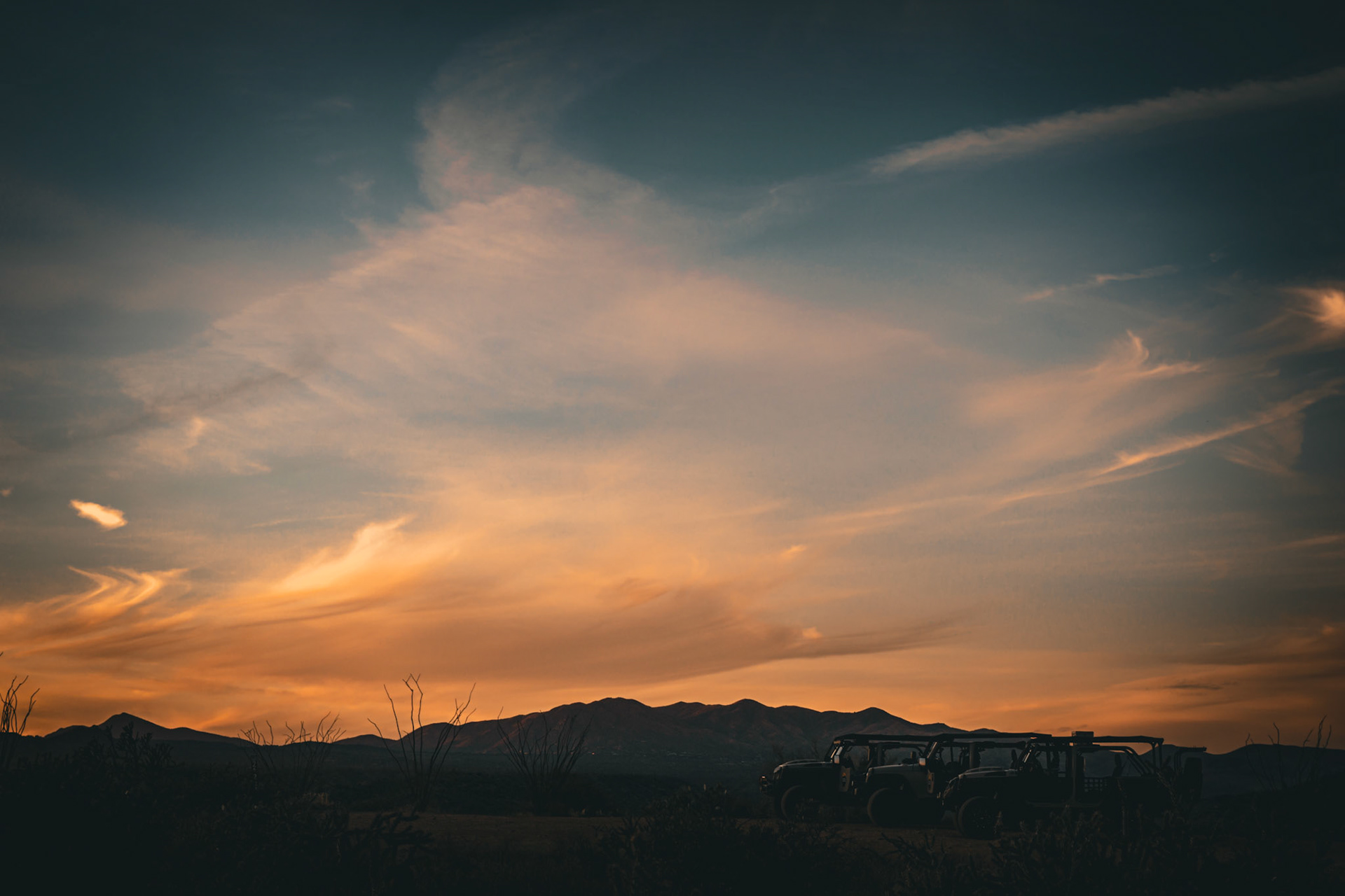 Desert Foothills, Scottsdale Arizona