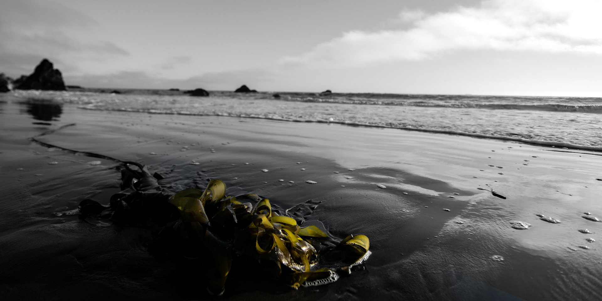 Muir Beach, California 
