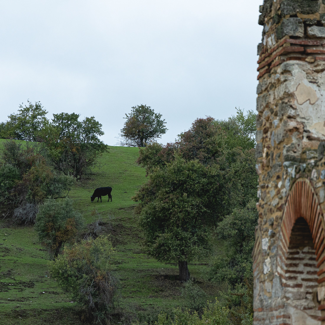  Ágios Achílleios, Prespes, 2021