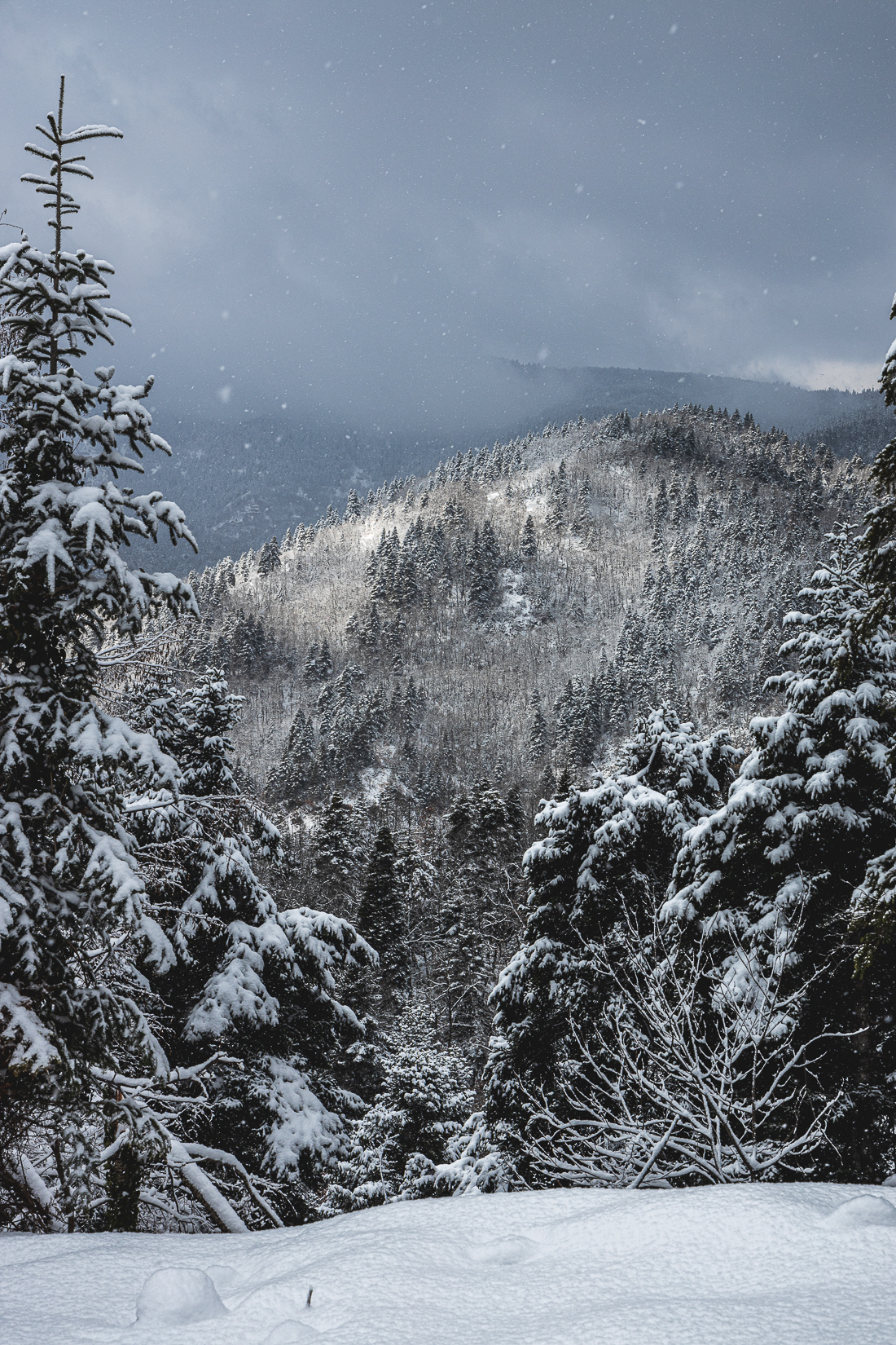 Thessaly 2022 , Greece