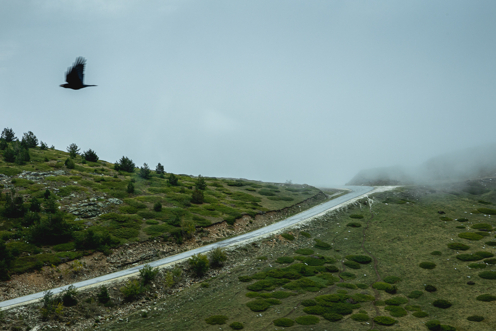 Kaimaktsalan mountain, 2021