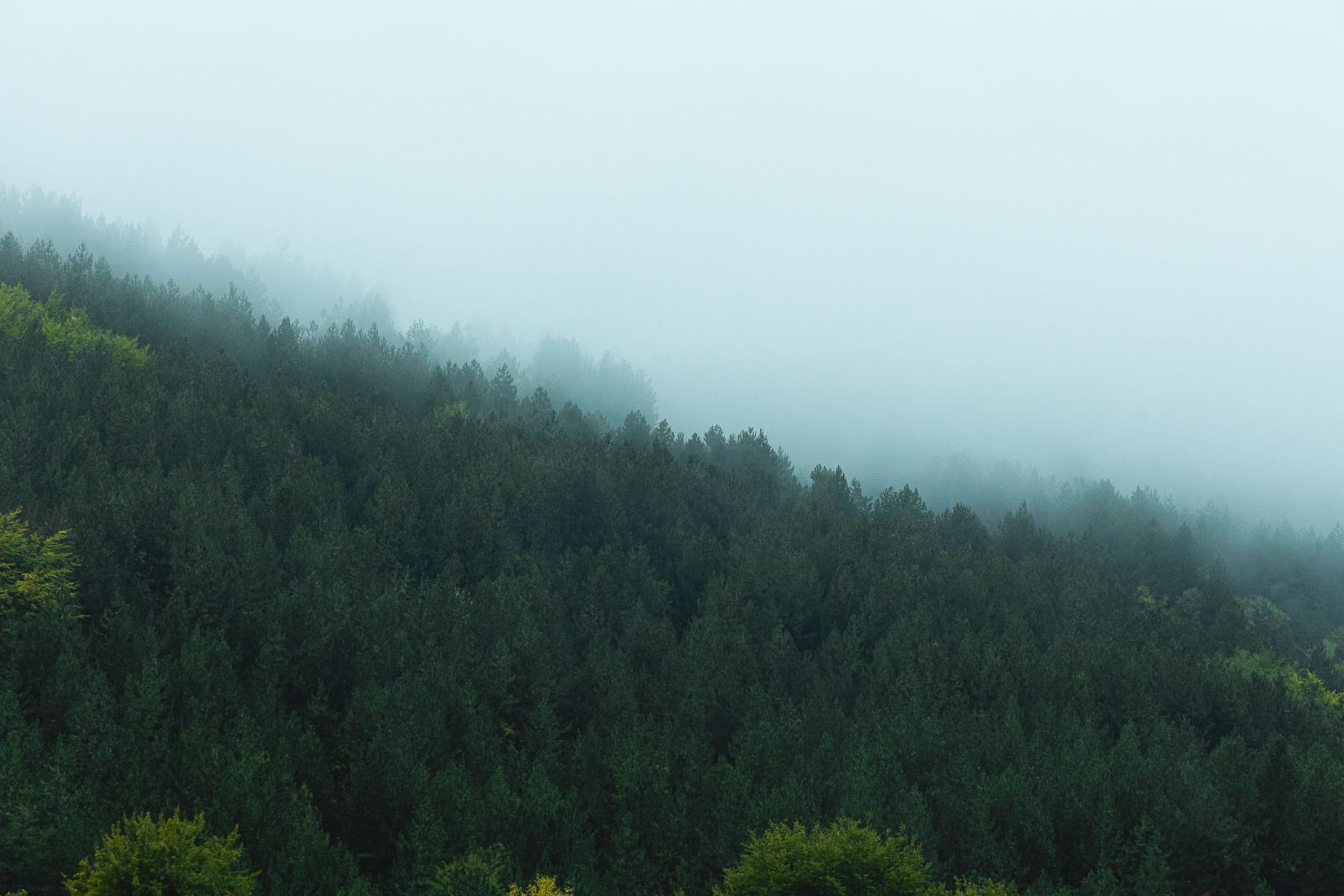 Kaimaktsalan mountain, 2021