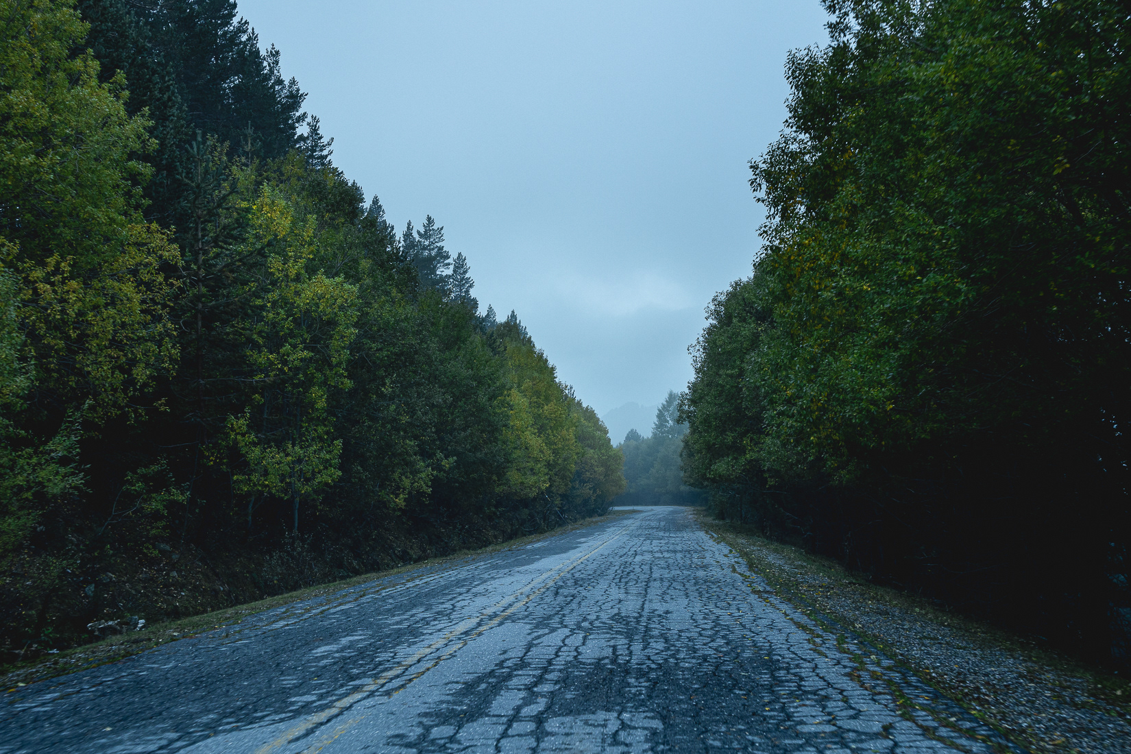 Kaimaktsalan mountain, 2021