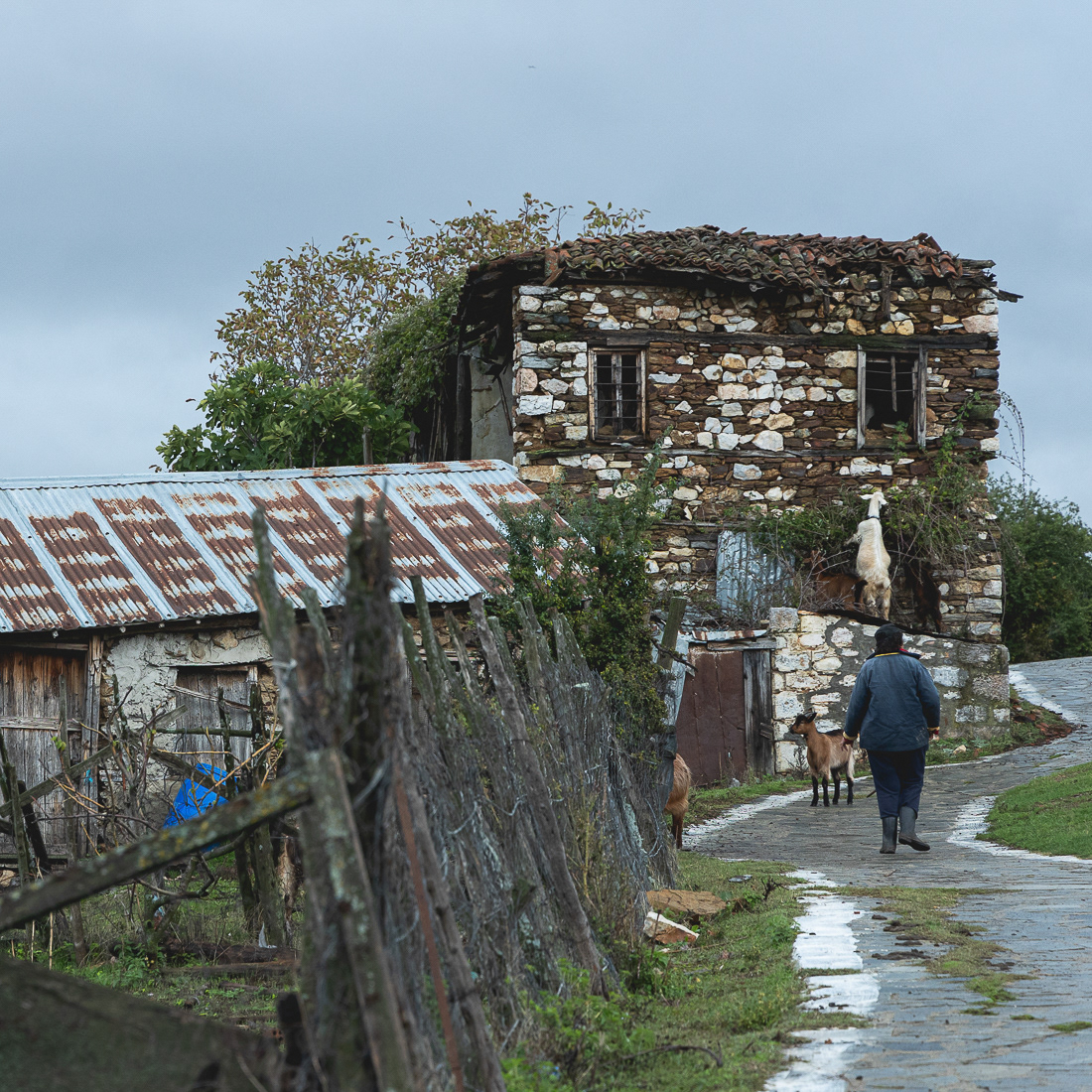  Ágios Achílleios, Prespes, 2021