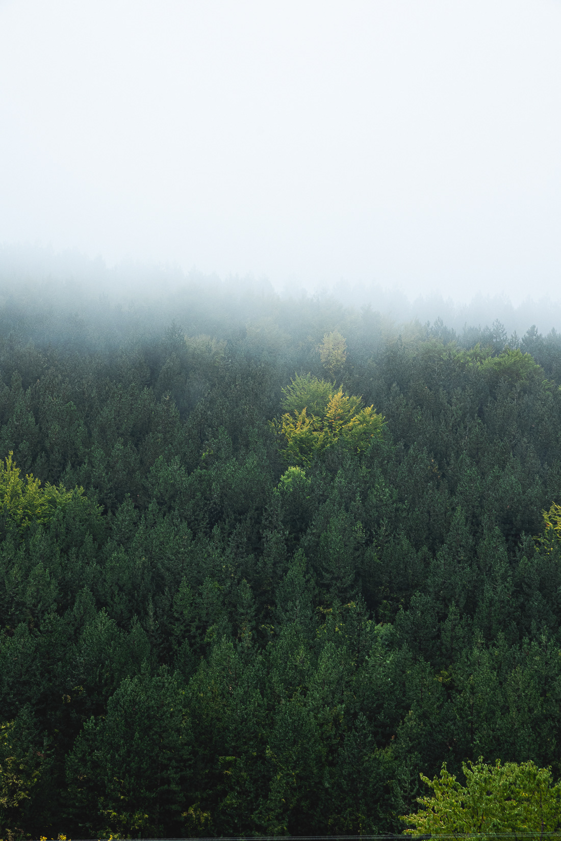 Kaiimaktsalan mountain, 2021