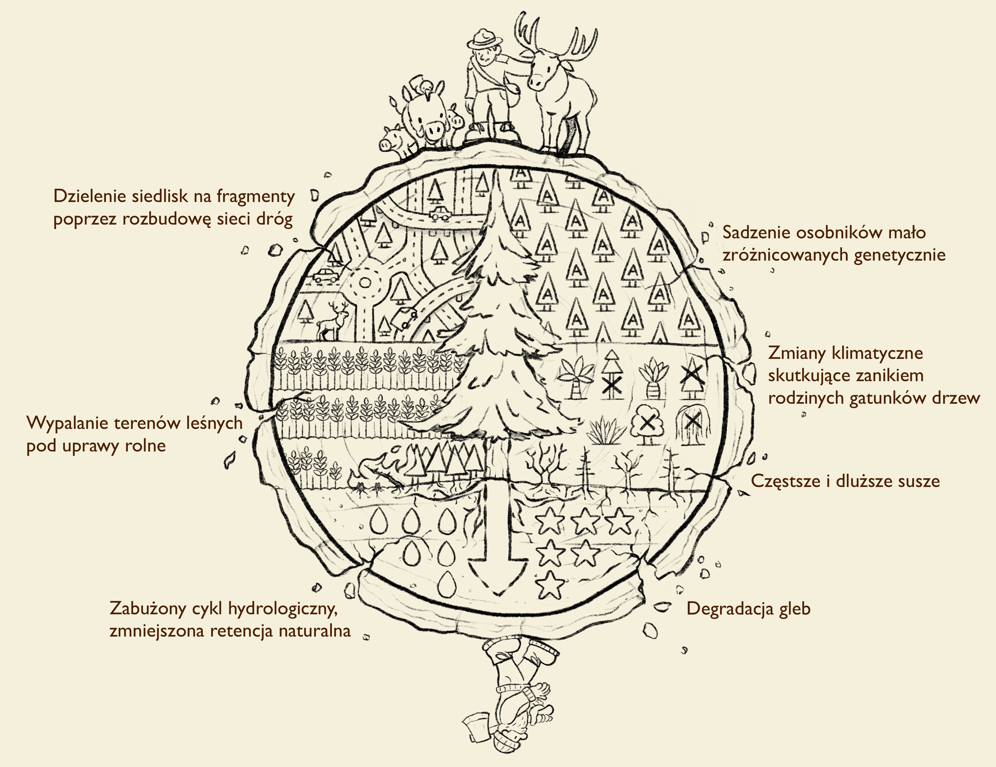 Detailed/final sketch.