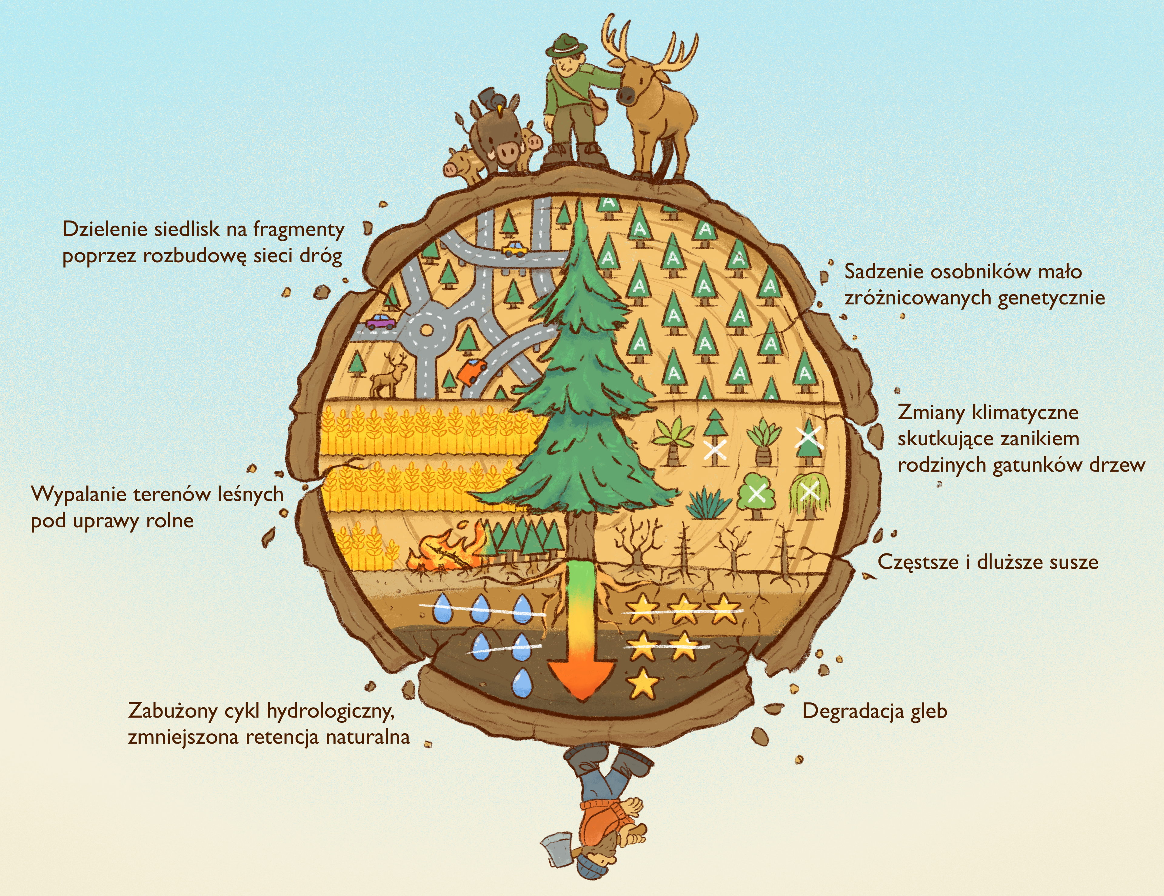 Infographic explaining environmental and ecological impacts of deforestation.