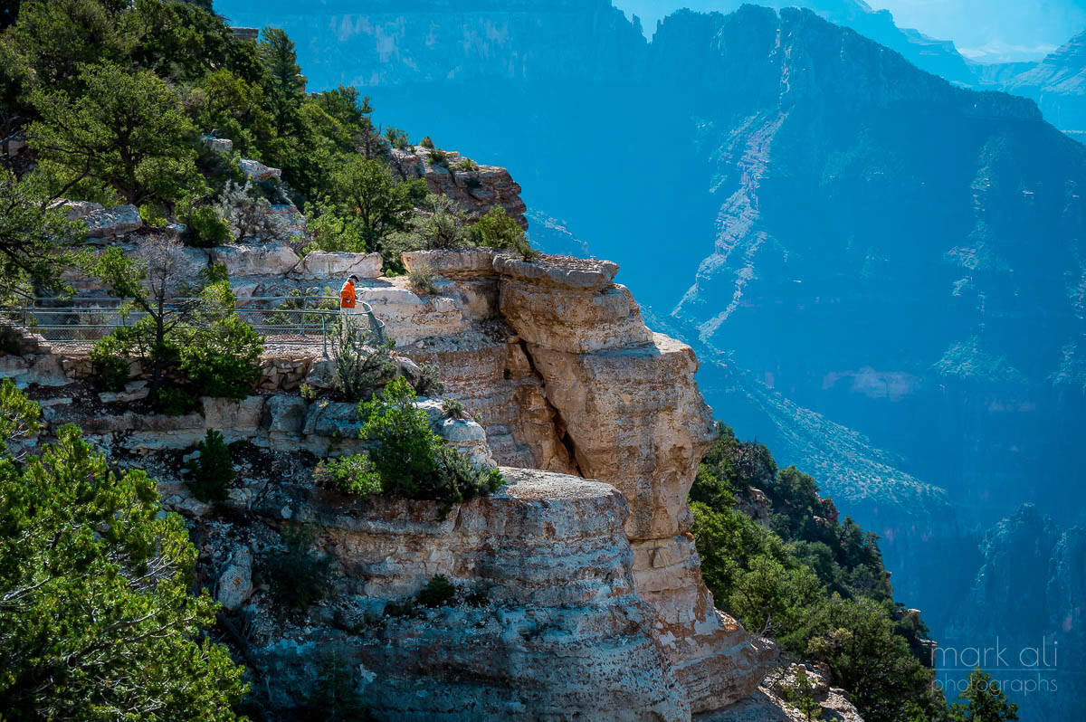 A tourist stands at an overlook along the north rim of the Grand Canyon.