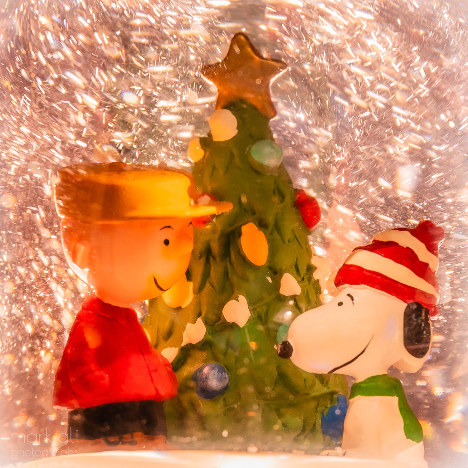 "A Boy and His Dog at Christmas"