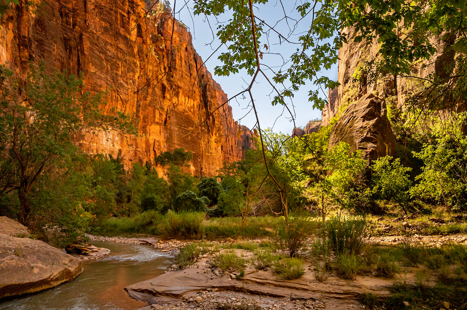 A Scene at Zion