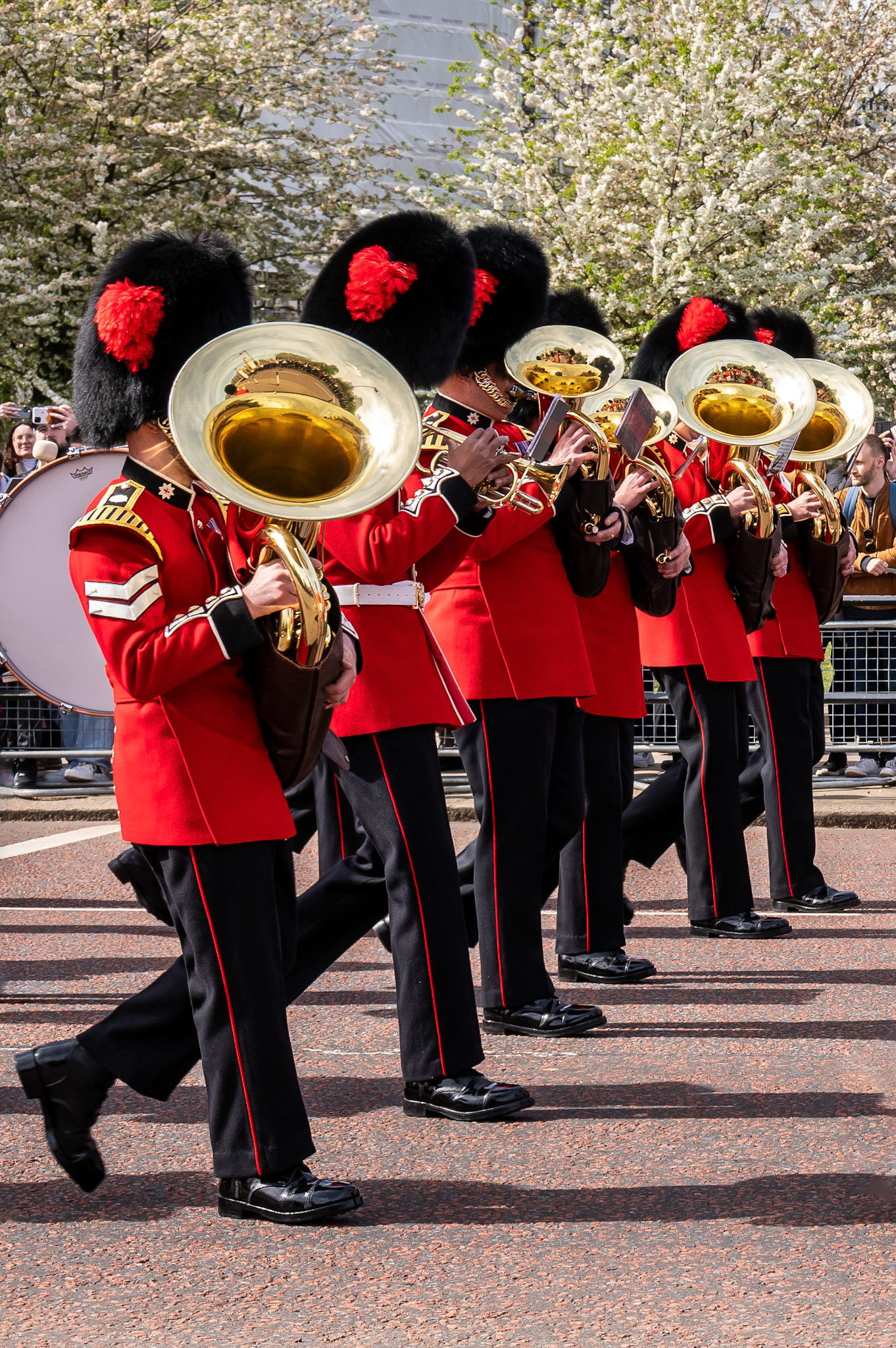 The band accompanying the New Guard on the way to Buckingham Palace.