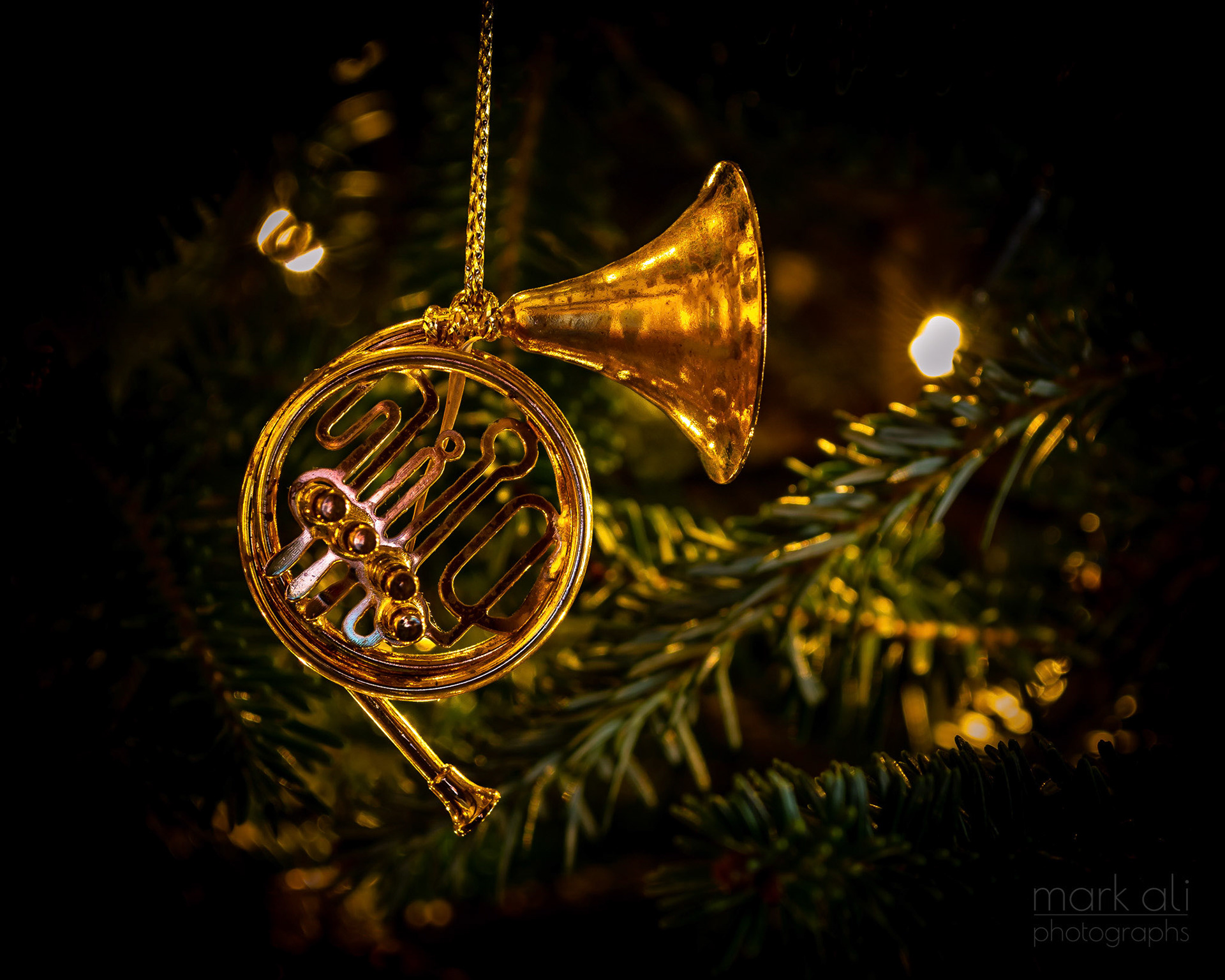 "Christmas Hornament"